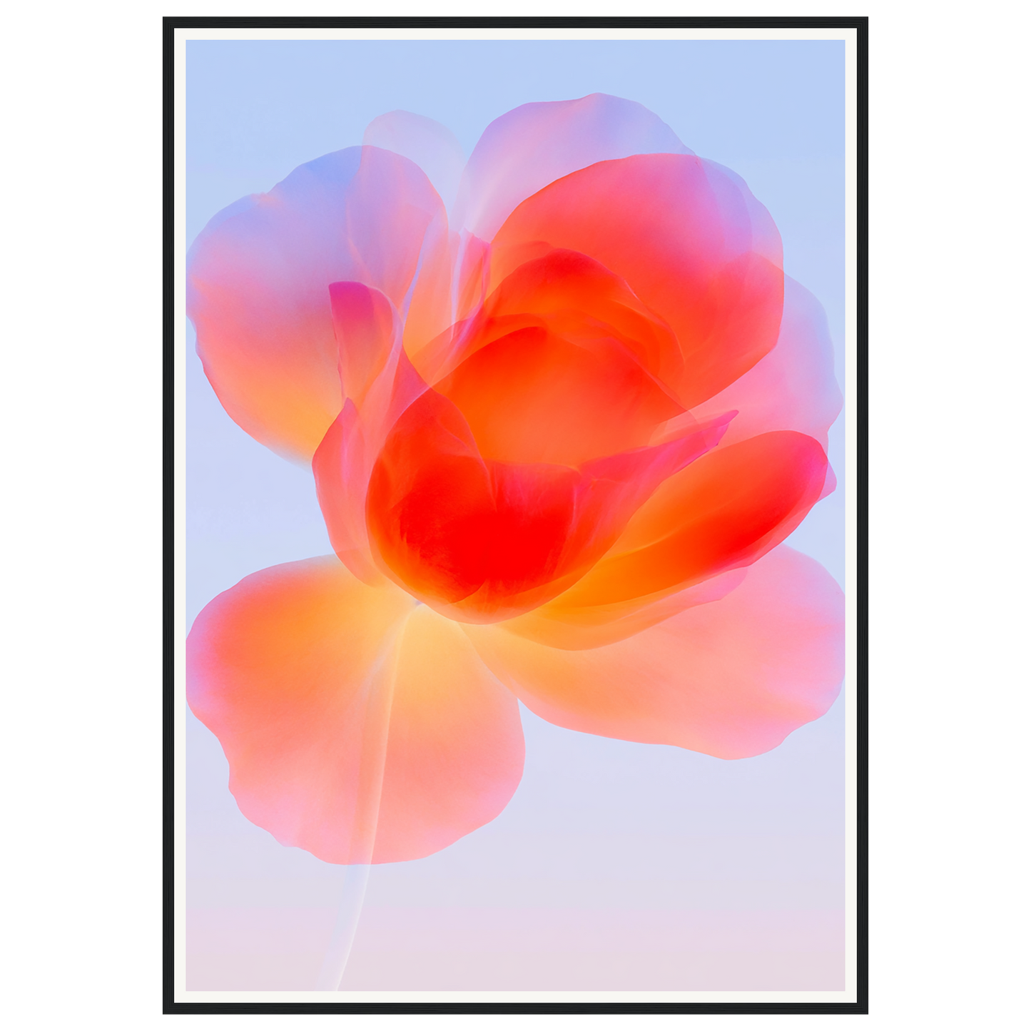 Gentle Bloom — s3_framed_black