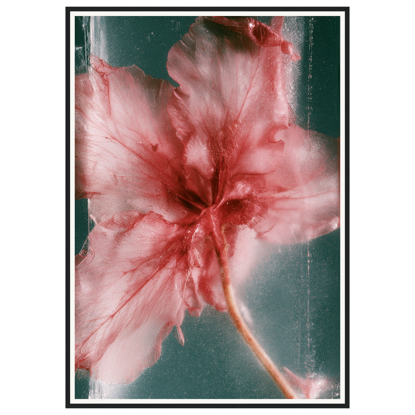 Wild Heart — s3_framed_black
