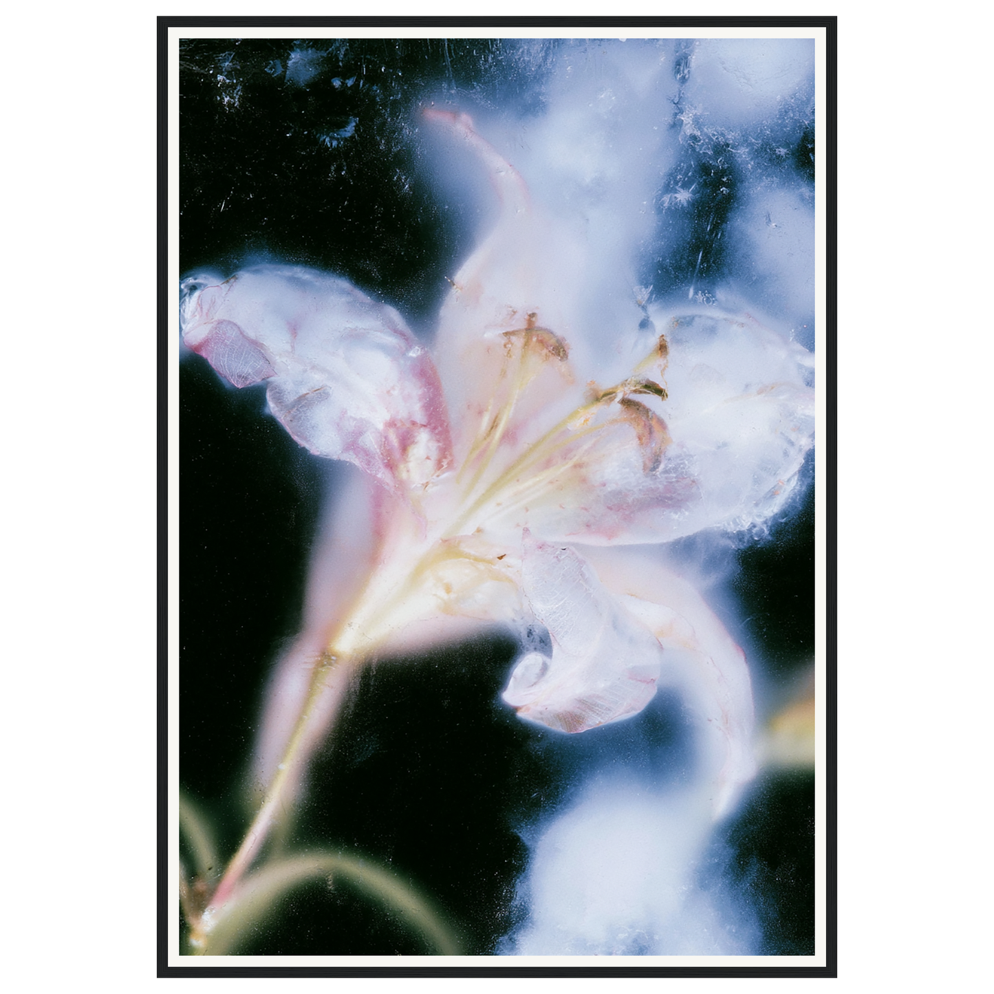 Soft Light — s3_framed_black