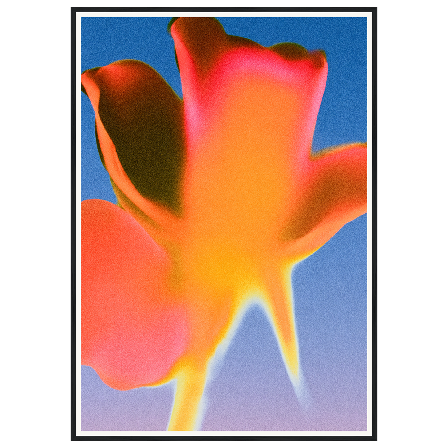 Sunset Glow — s3_framed_black