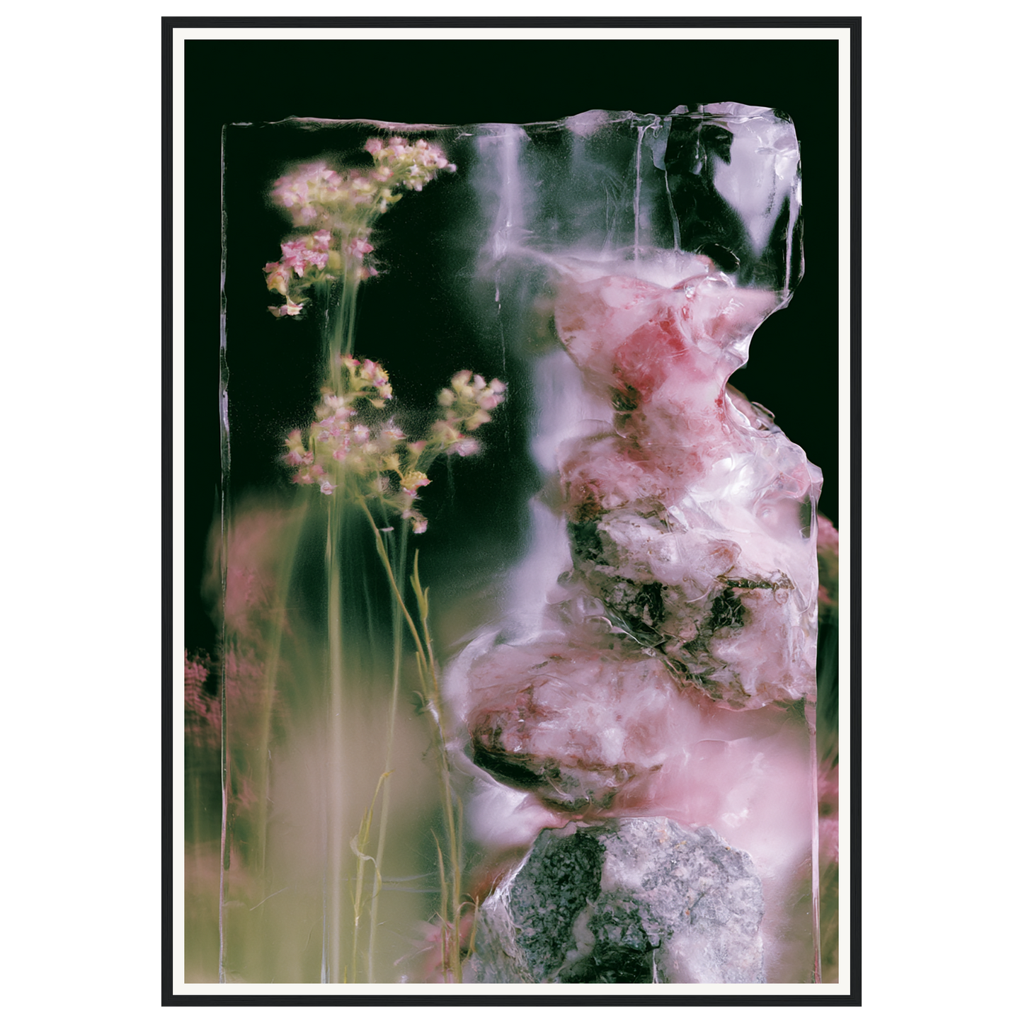 Frozen Whisper — s3_framed_black