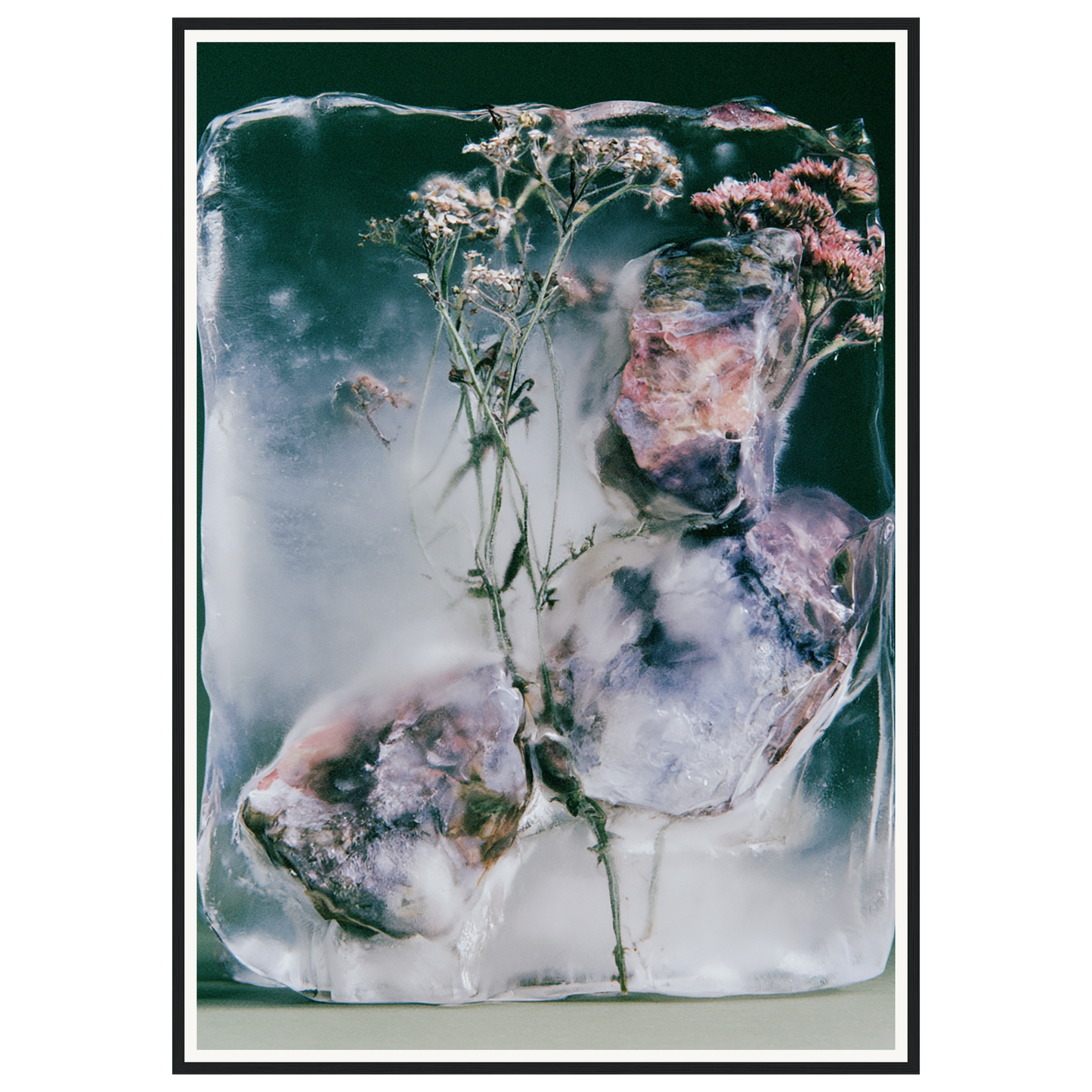 Winter Bloom — s3_framed_black