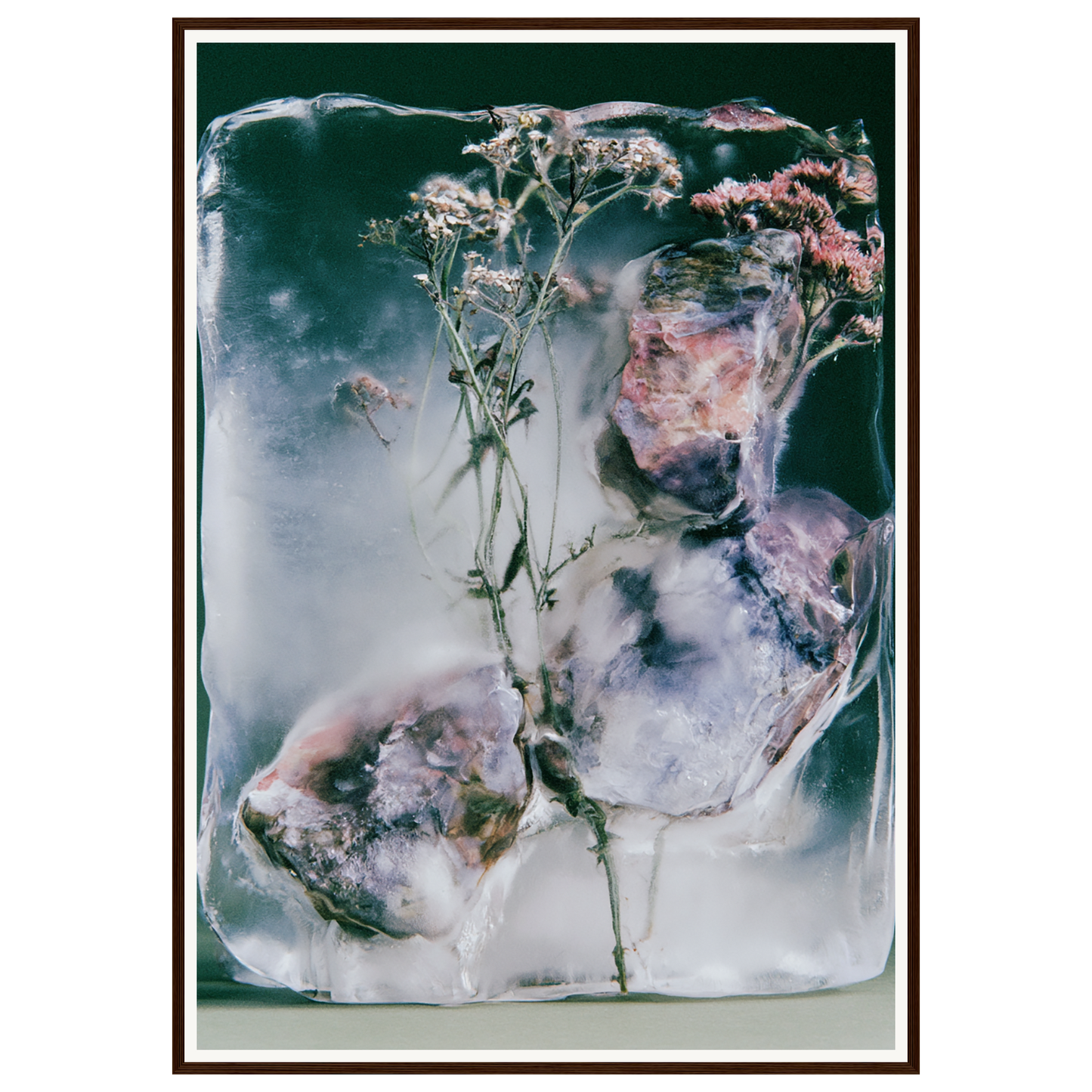 Winter Bloom — s3_framed_dark_wood