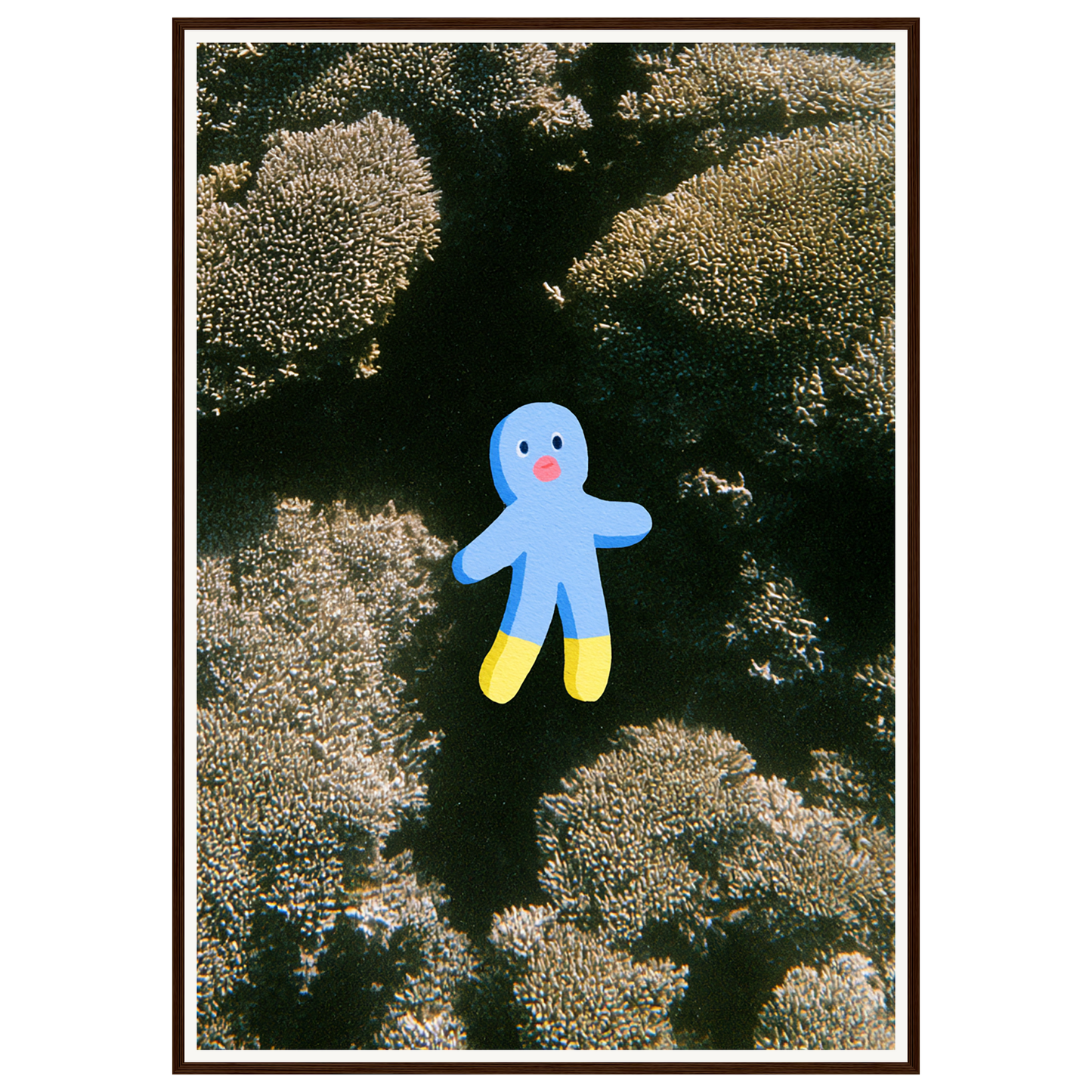 Ocean Wonder — s3_framed_dark_wood