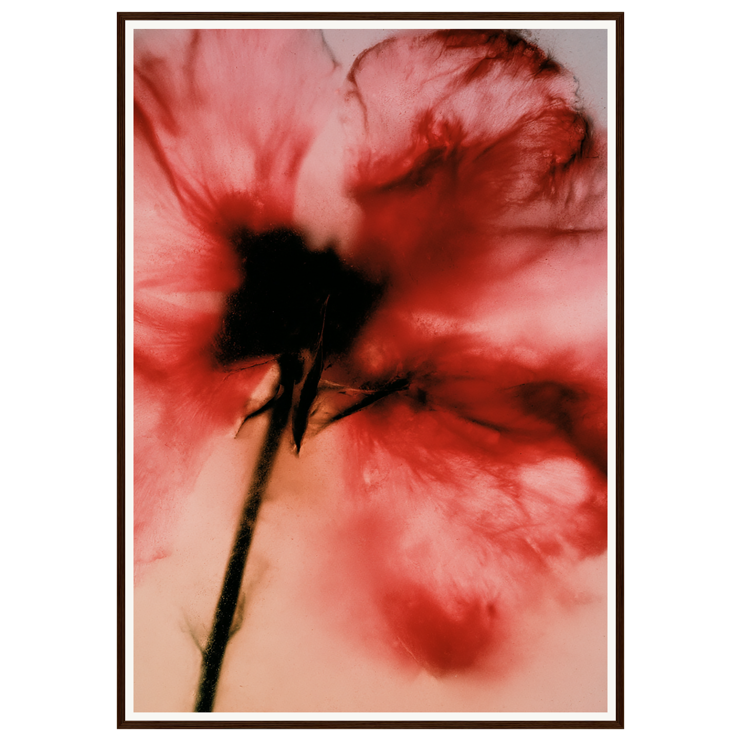 Crimson Whisper — s3_framed_dark_wood