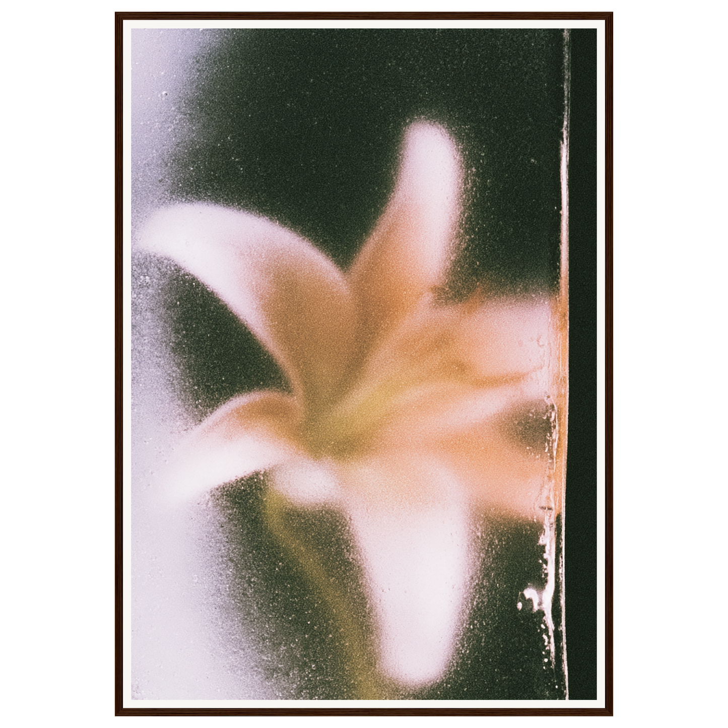 Golden Hour — s3_framed_dark_wood