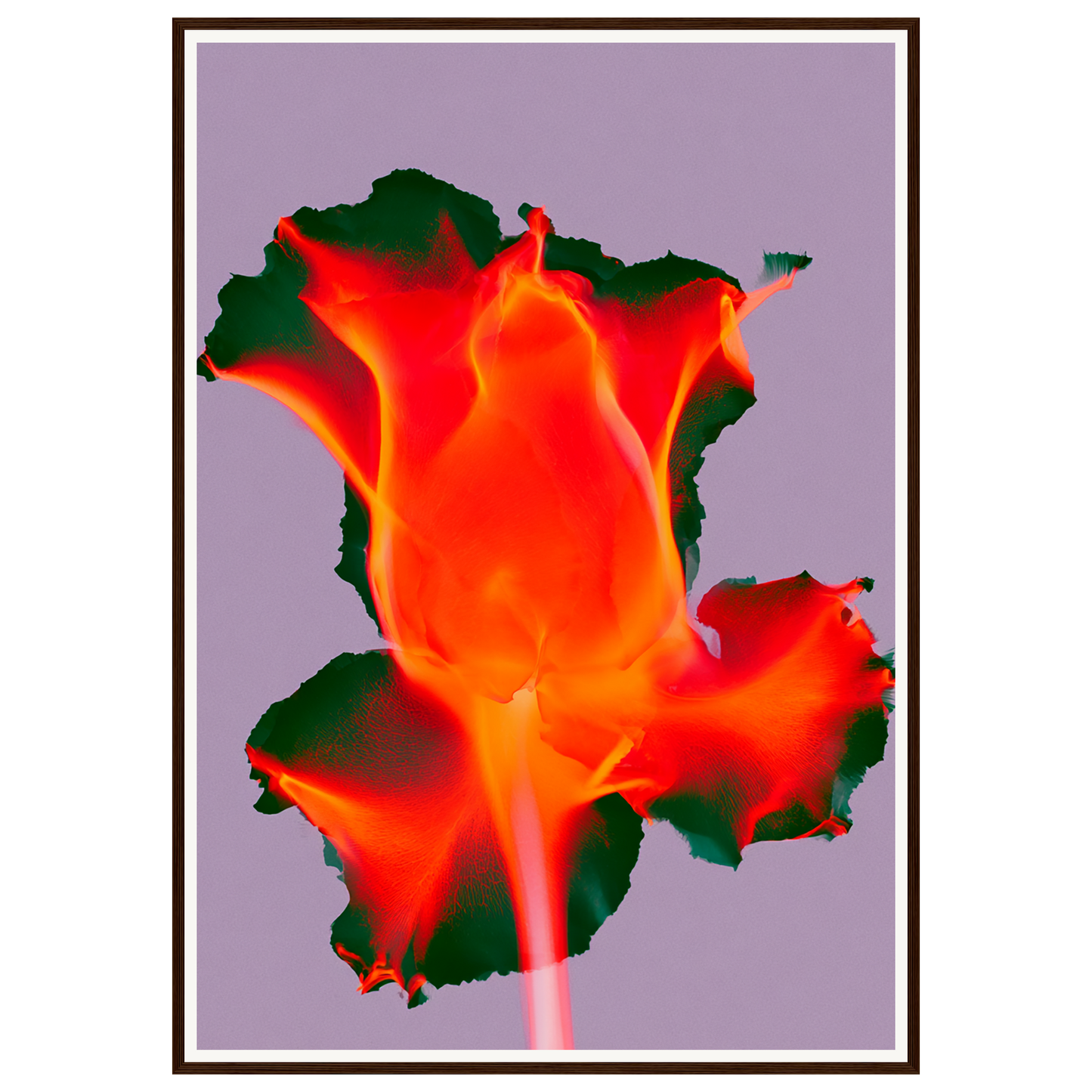 Ruby Glow — s3_framed_dark_wood