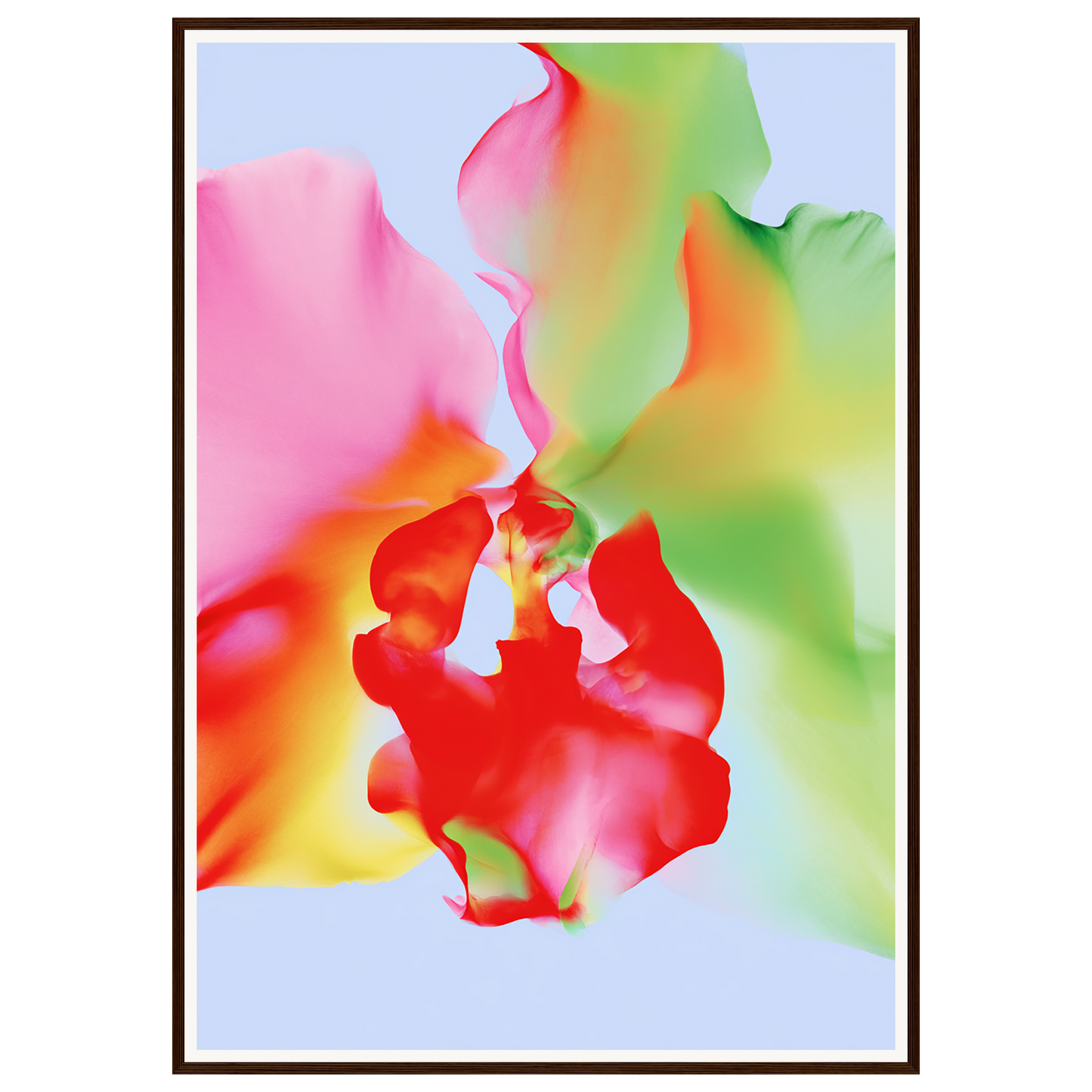 Soft Chaos — s3_framed_dark_wood