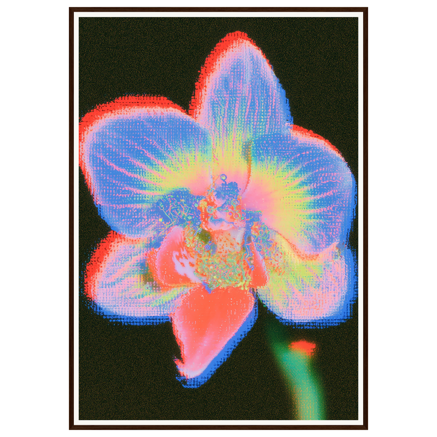 Radiant Orchid — s3_framed_dark_wood