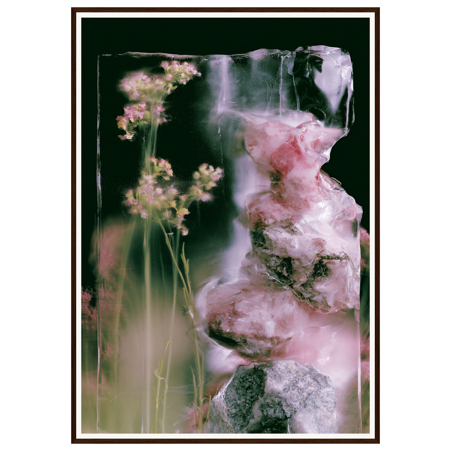 Frozen Whisper — s3_framed_dark_wood