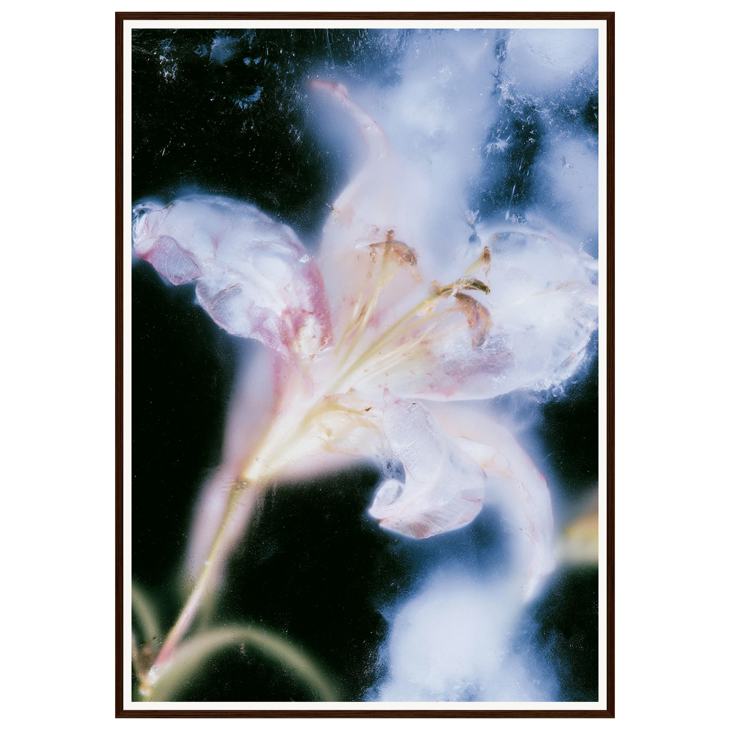 Soft Light — s3_framed_dark_wood
