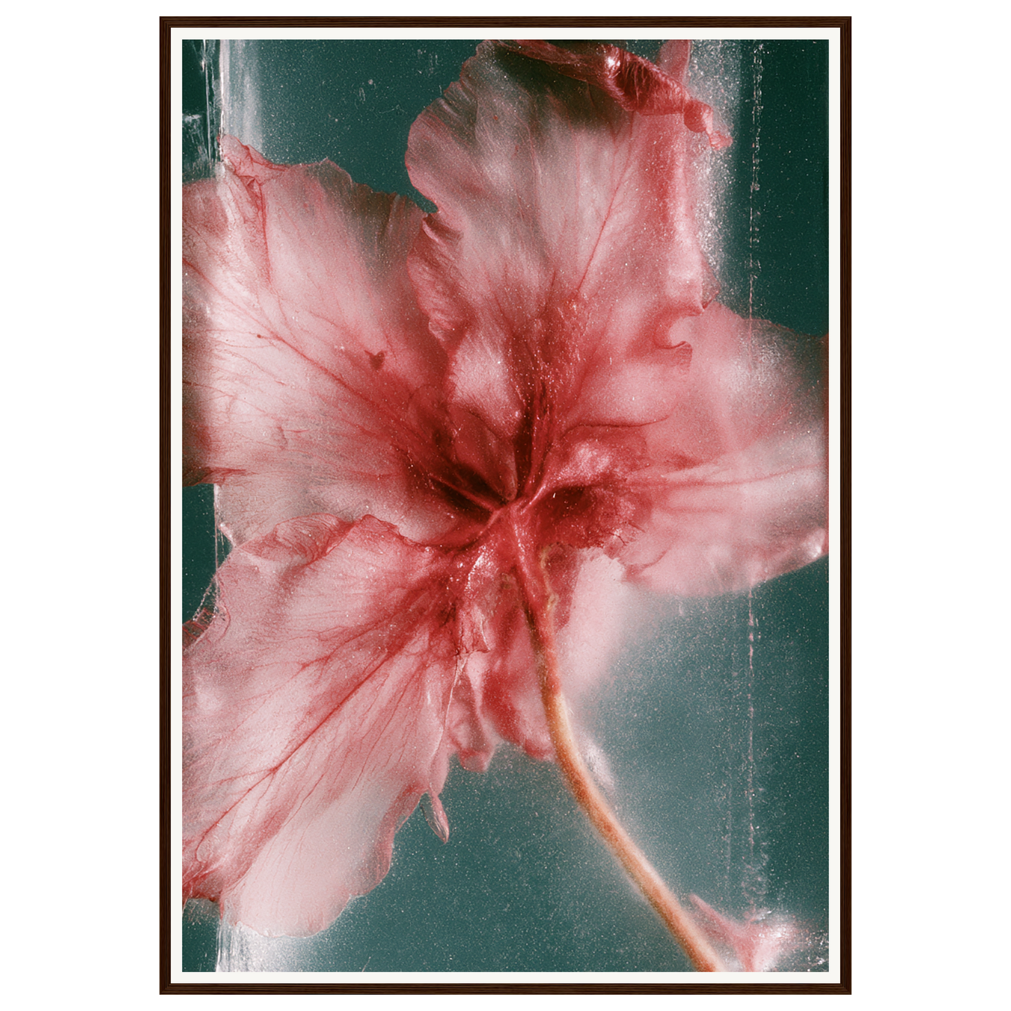 Wild Heart — s3_framed_dark_wood