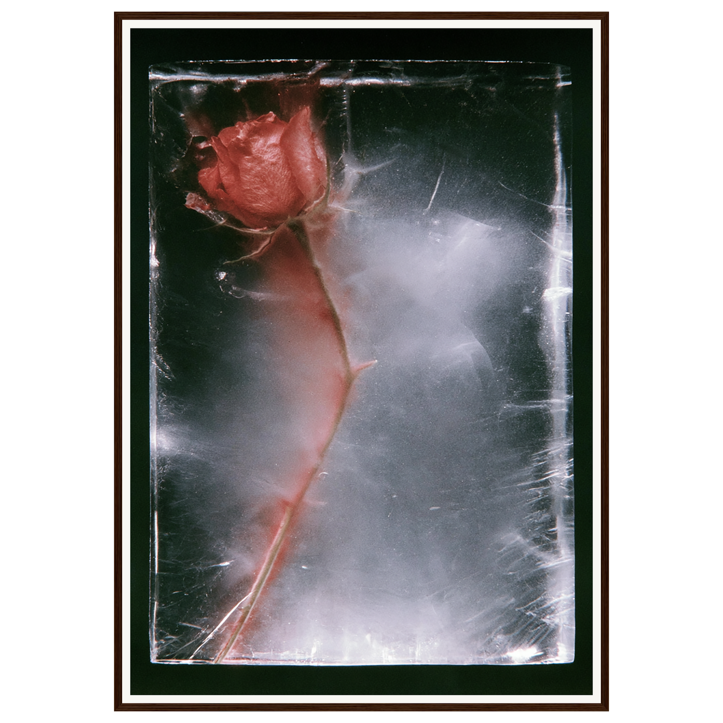 Quiet Fade — s3_framed_dark_wood