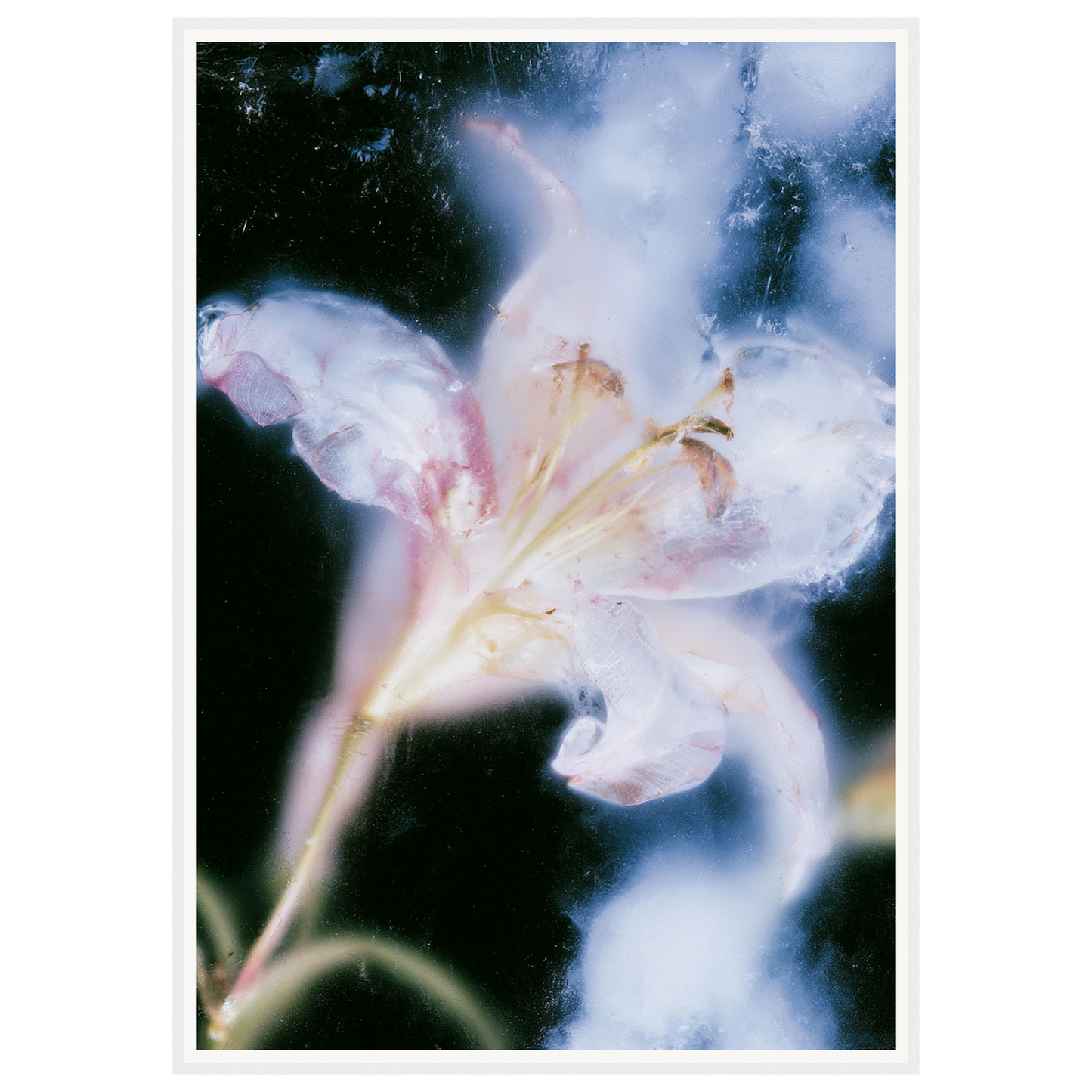 Soft Light — s3_framed_white