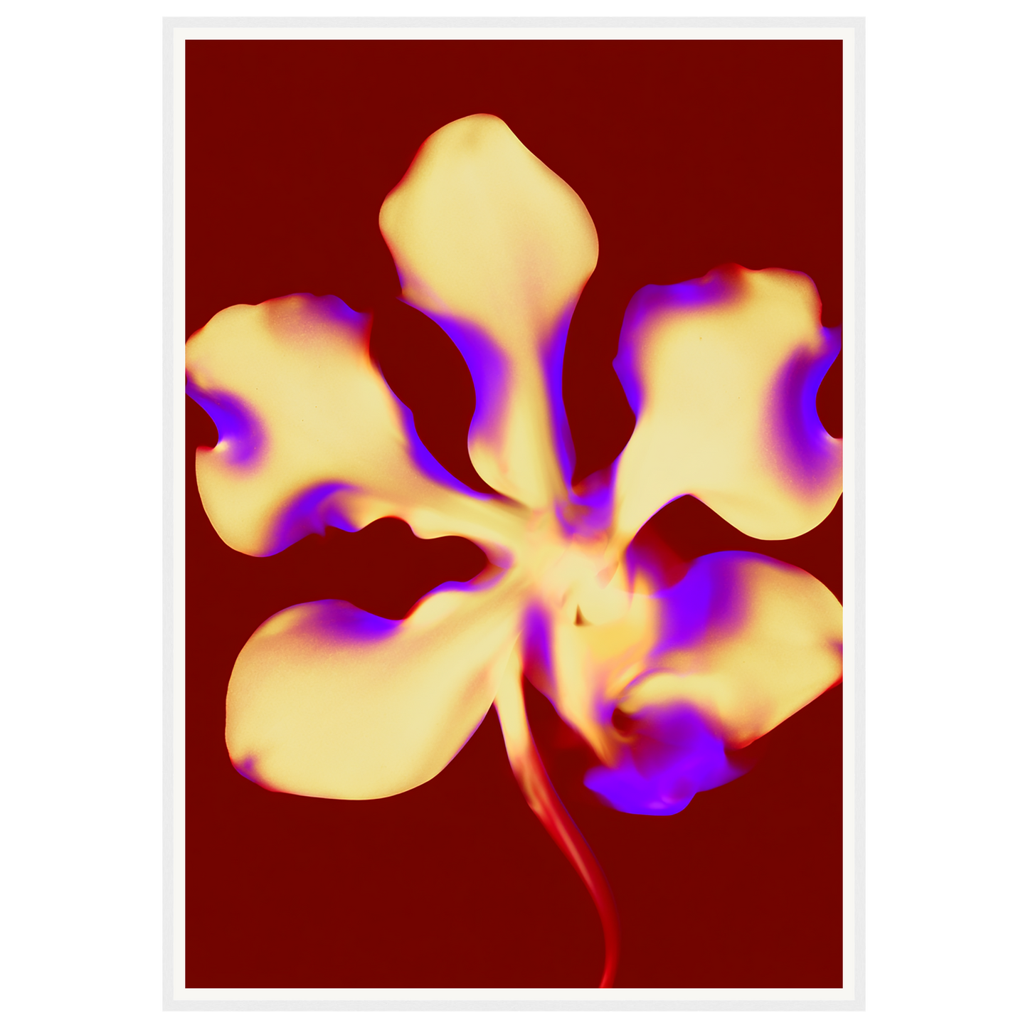 Golden Petal — s3_framed_white