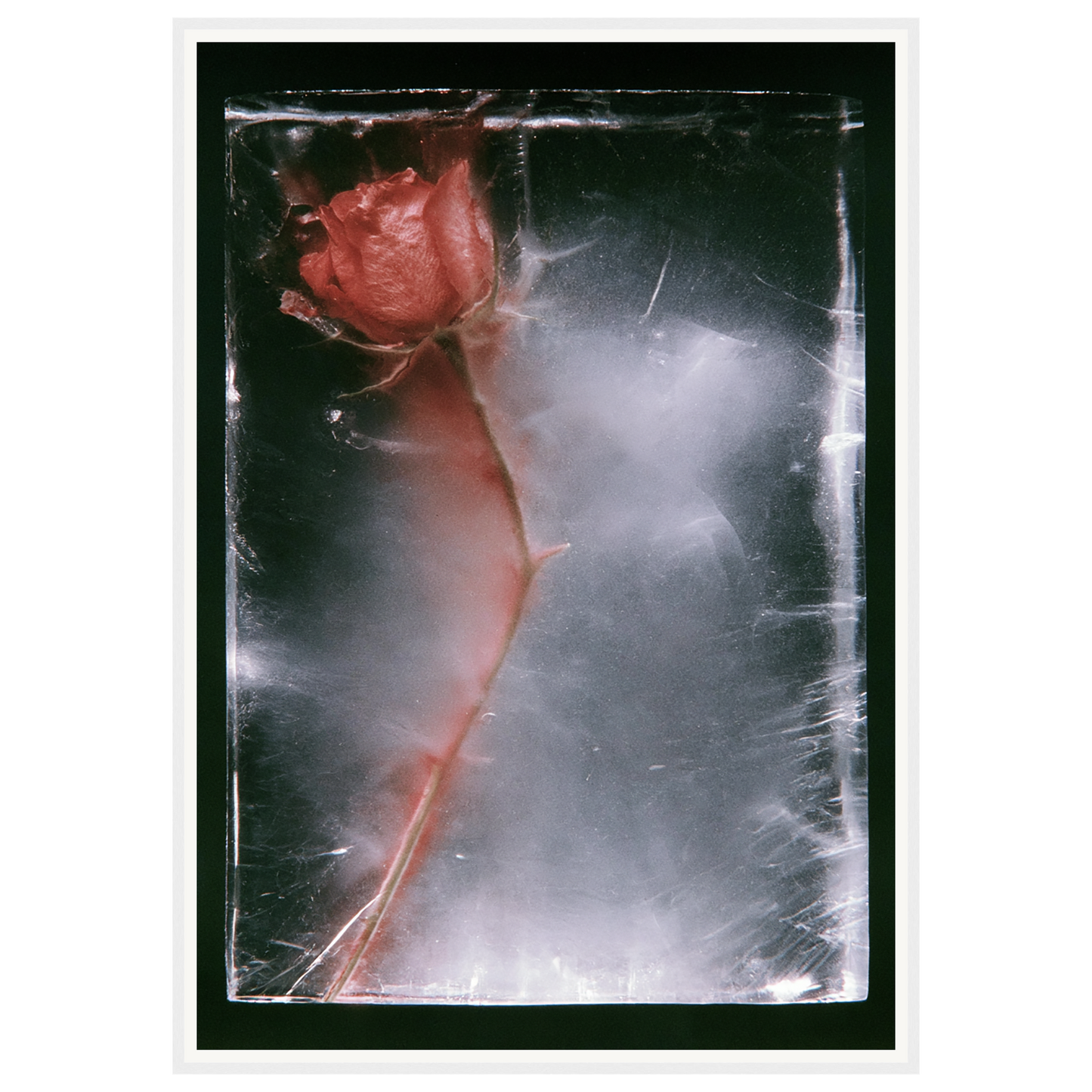 Quiet Fade — s3_framed_white