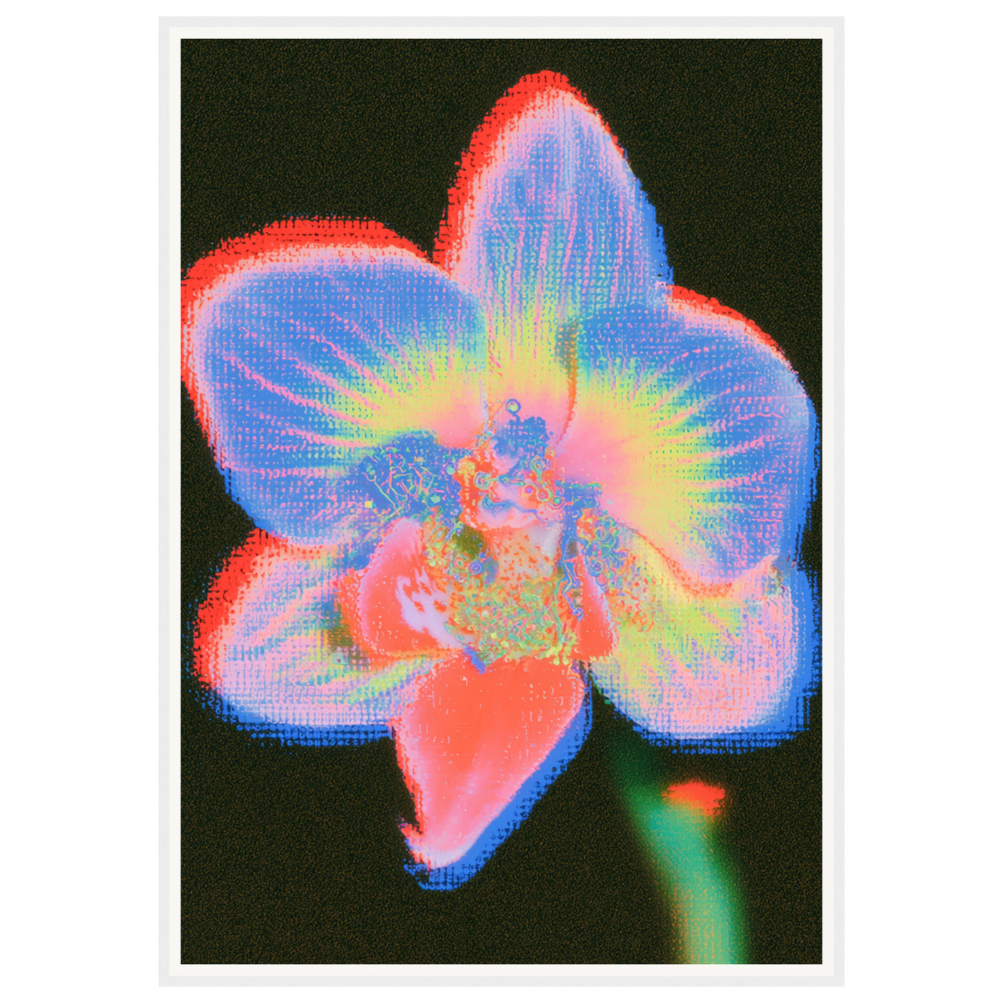 Radiant Orchid — s3_framed_white