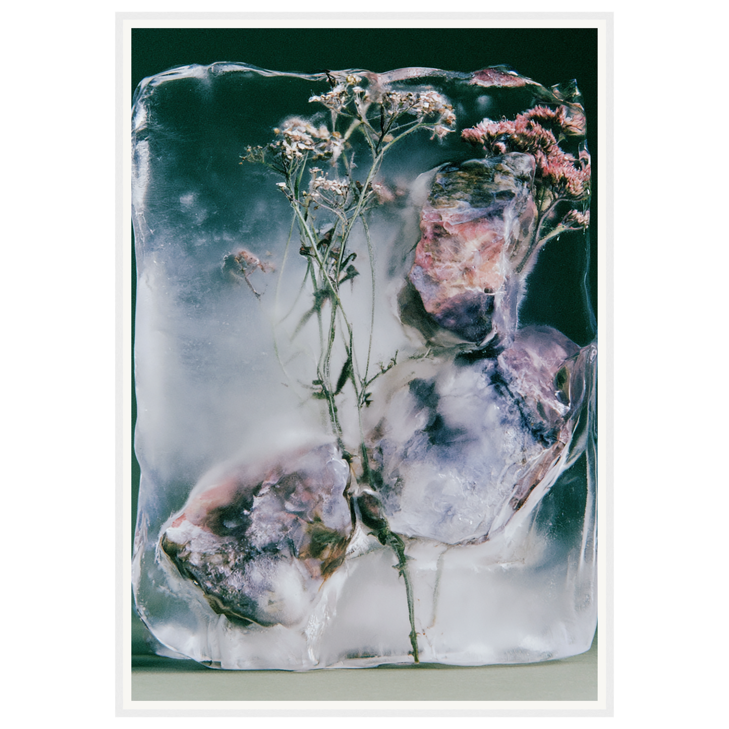 Winter Bloom — s3_framed_white