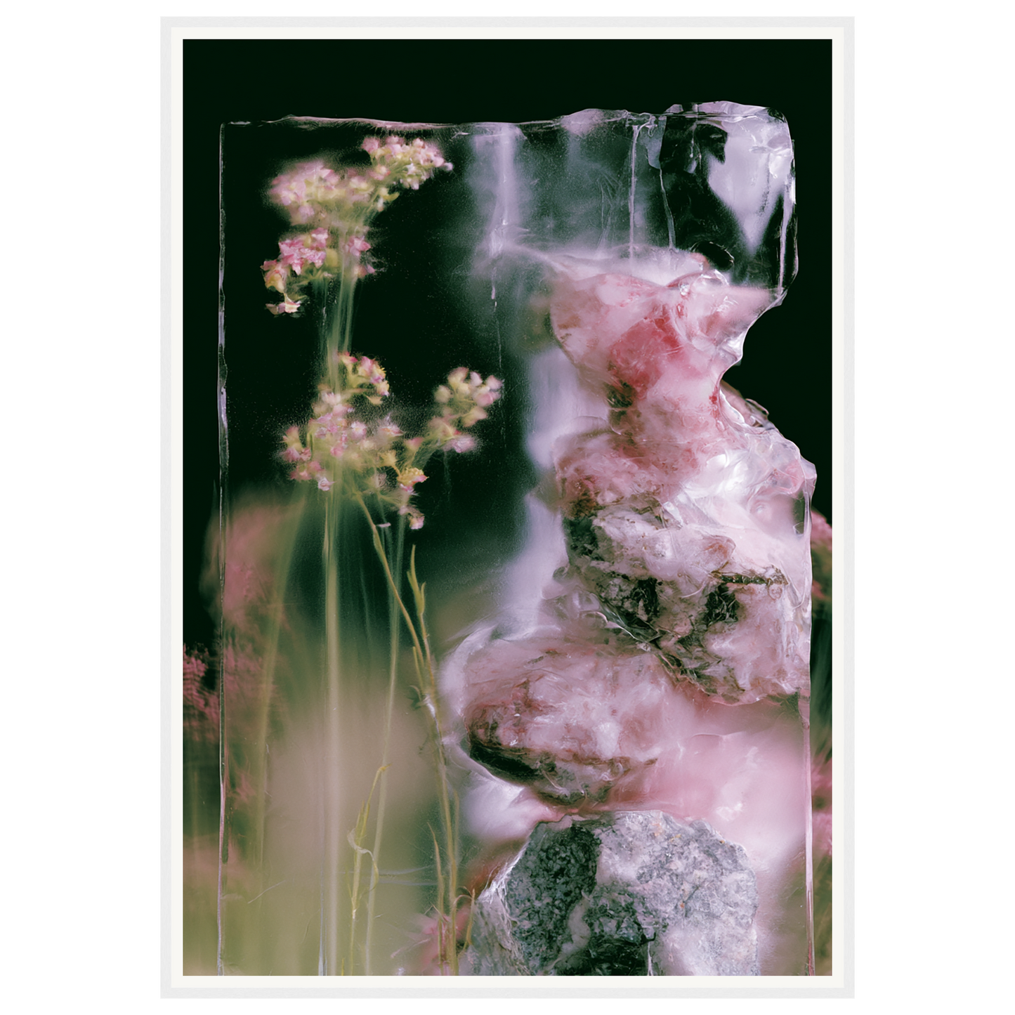 Frozen Whisper — s3_framed_white