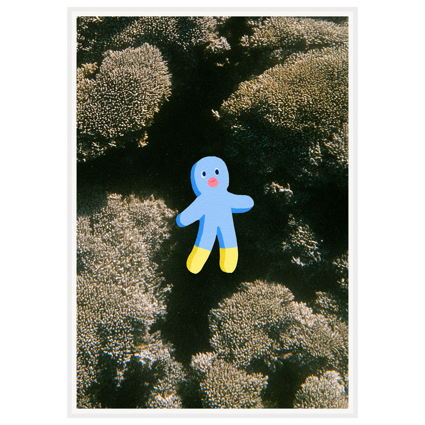 Ocean Wonder — s3_framed_white
