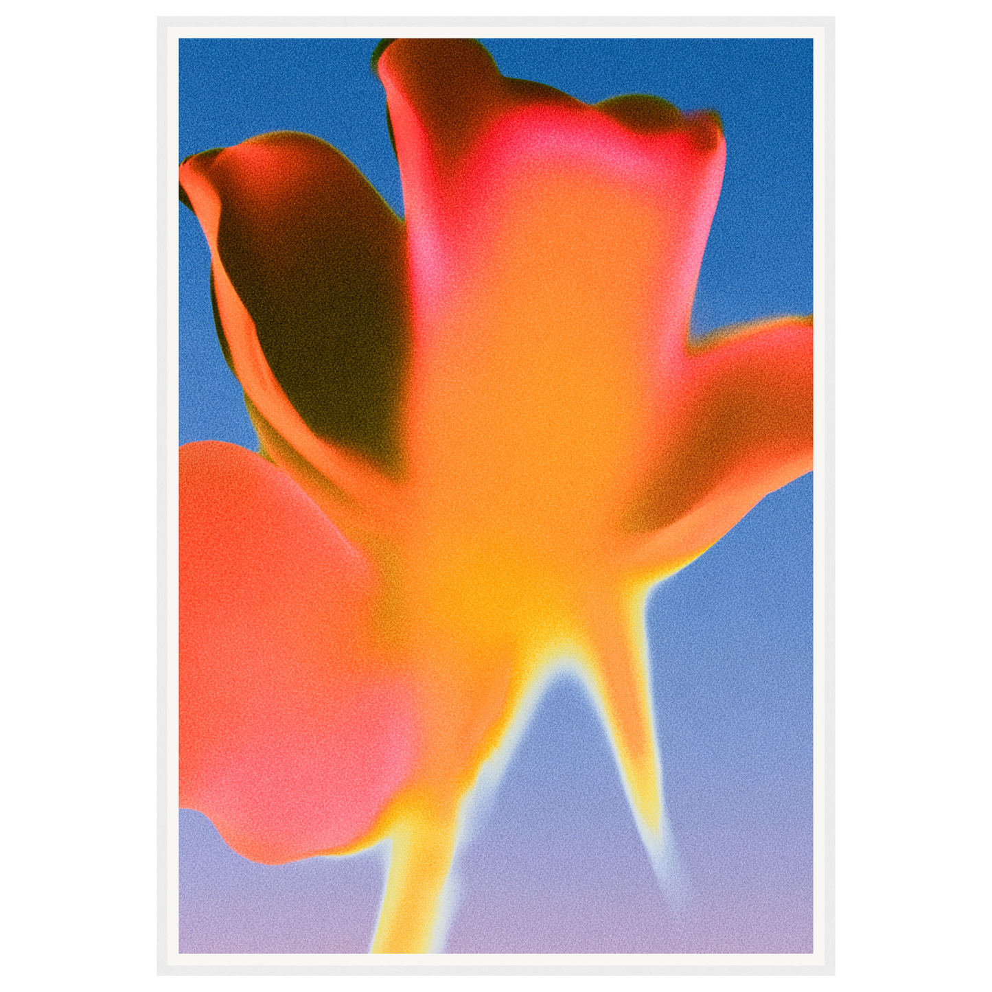 Sunset Glow — s3_framed_white
