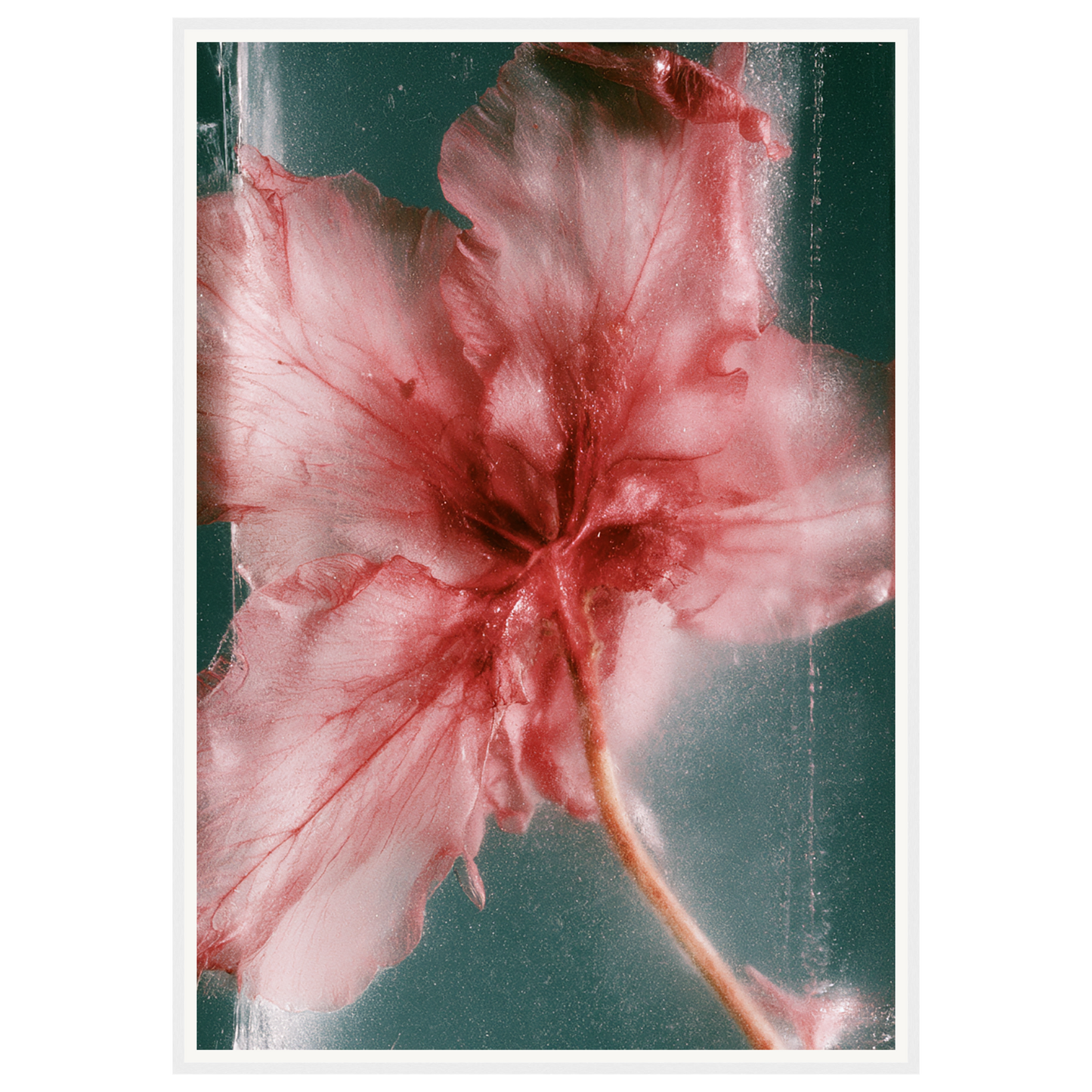 Wild Heart — s3_framed_white