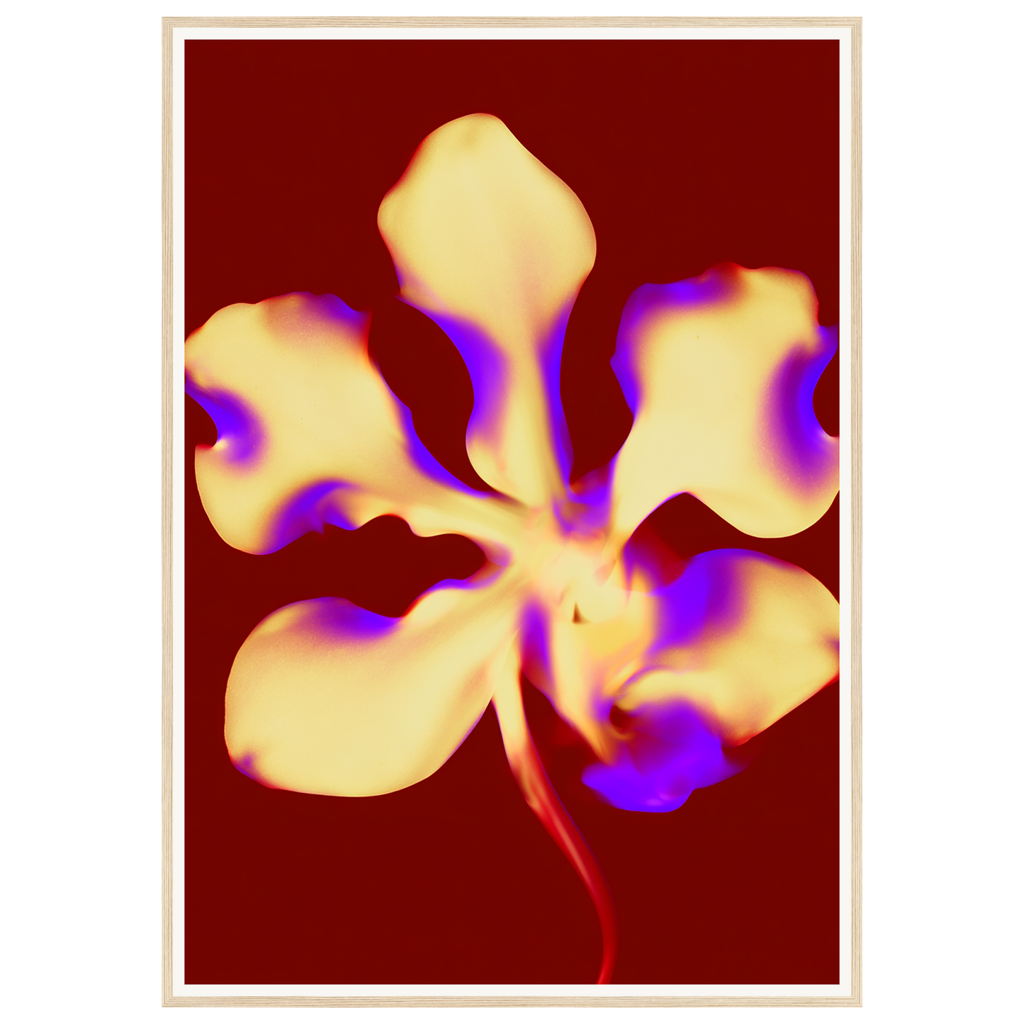 Golden Petal — s3_framed_wood