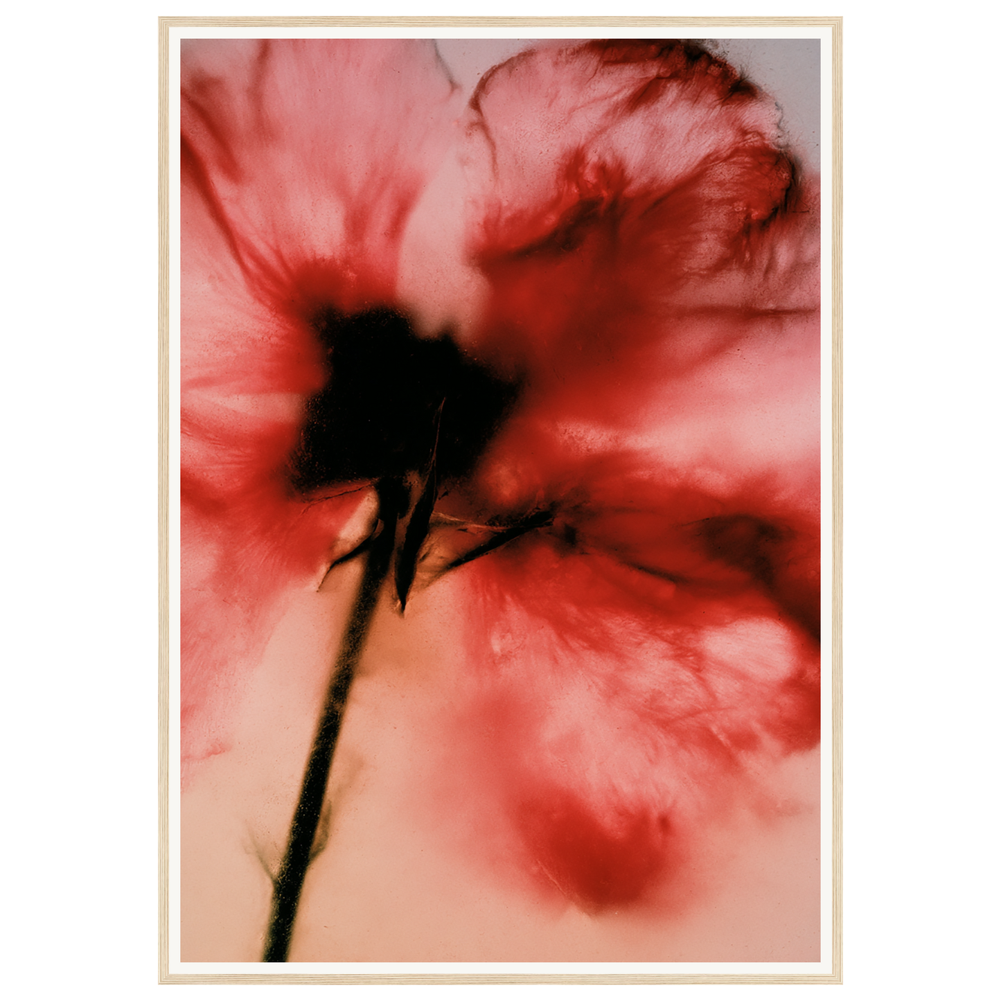 Crimson Whisper — s3_framed_wood