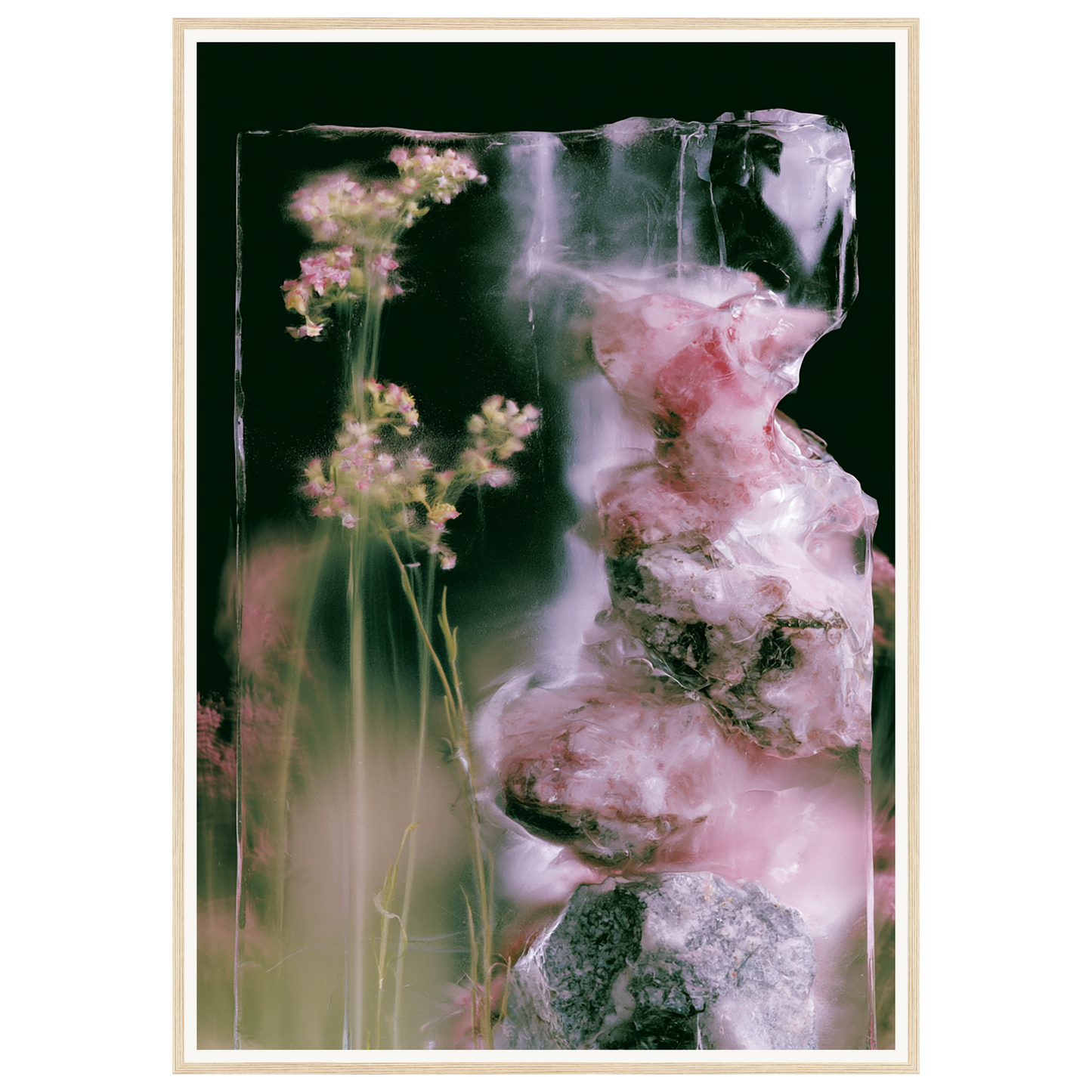 Frozen Whisper — s3_framed_wood