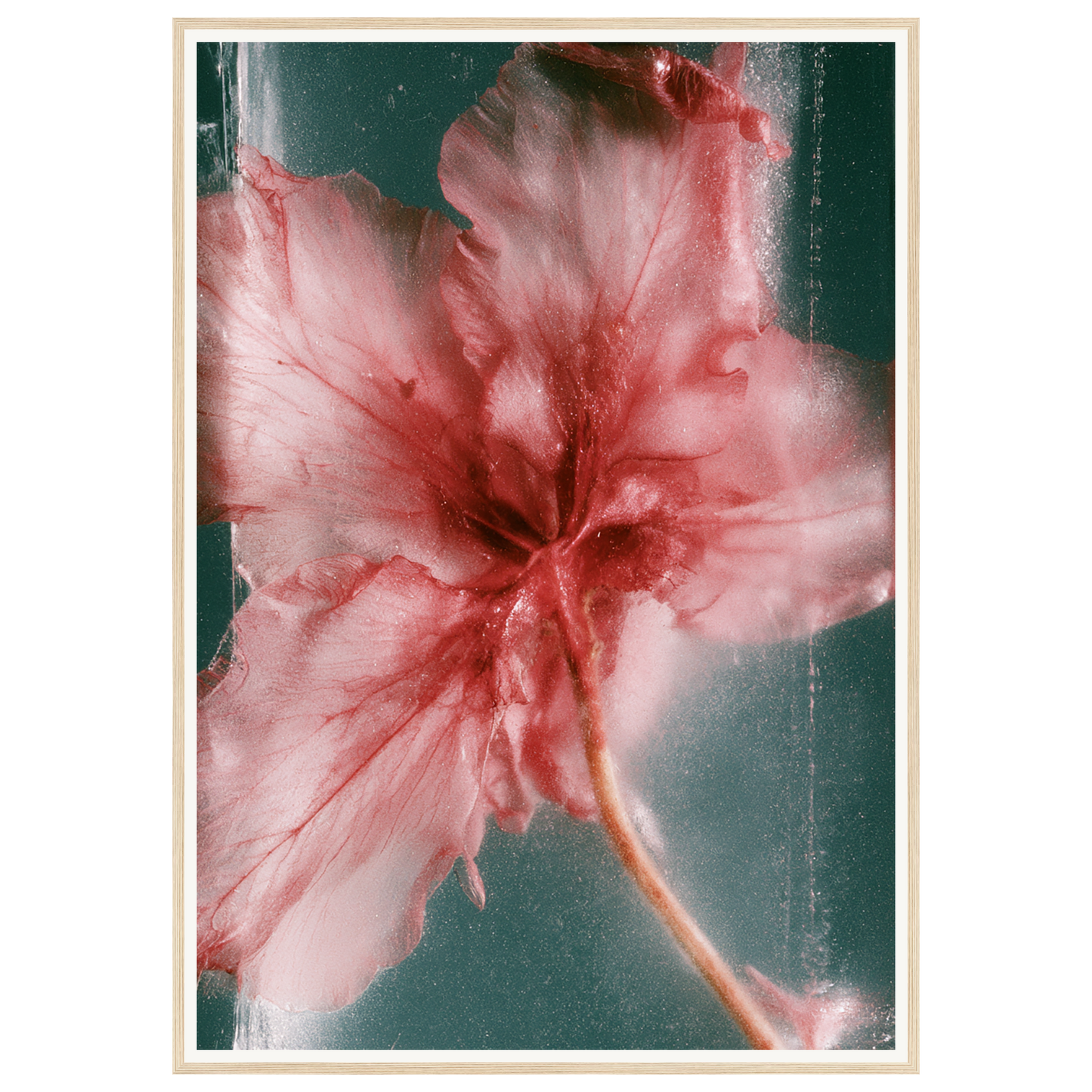 Wild Heart — s3_framed_wood