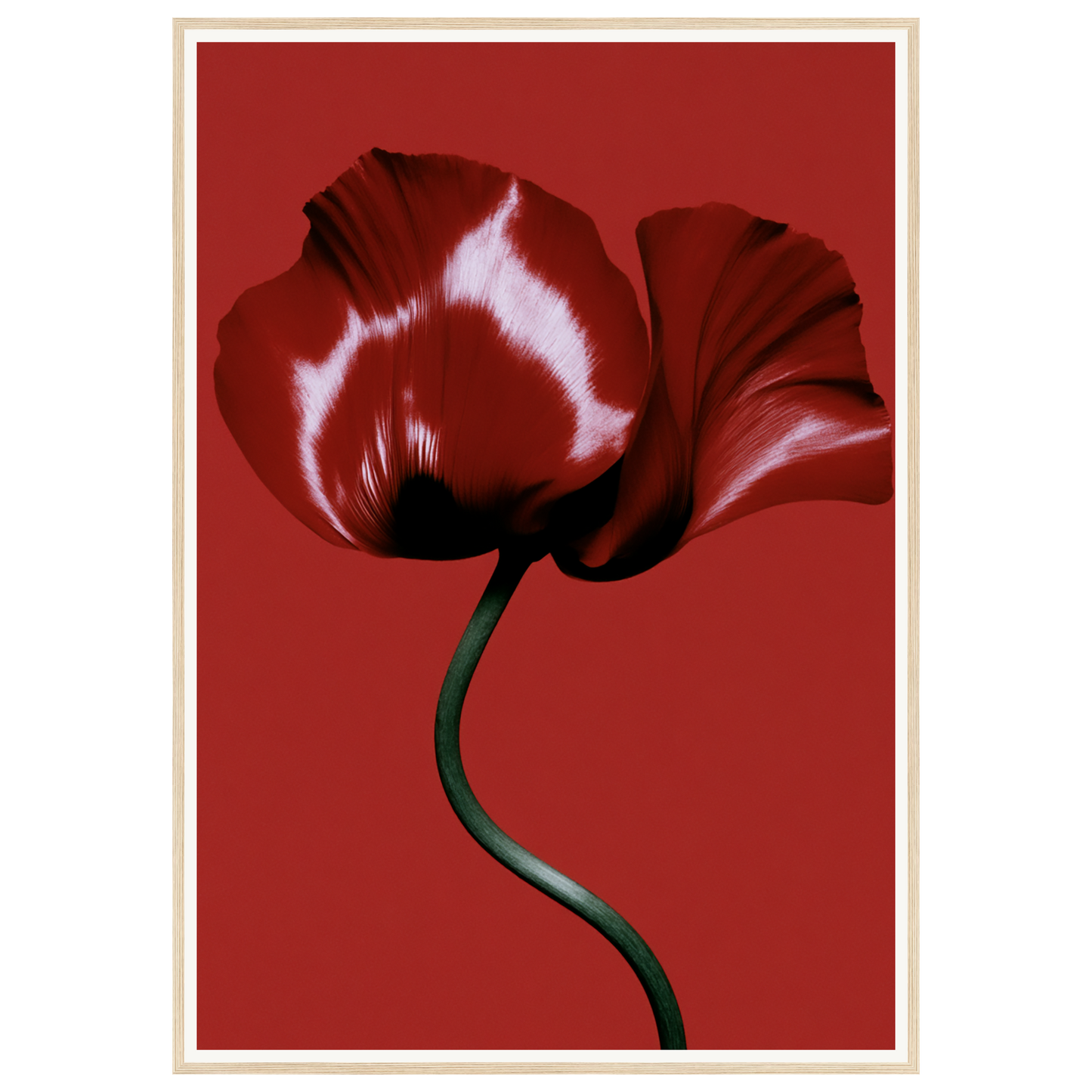 Velvet Poppy — s3_framed_wood