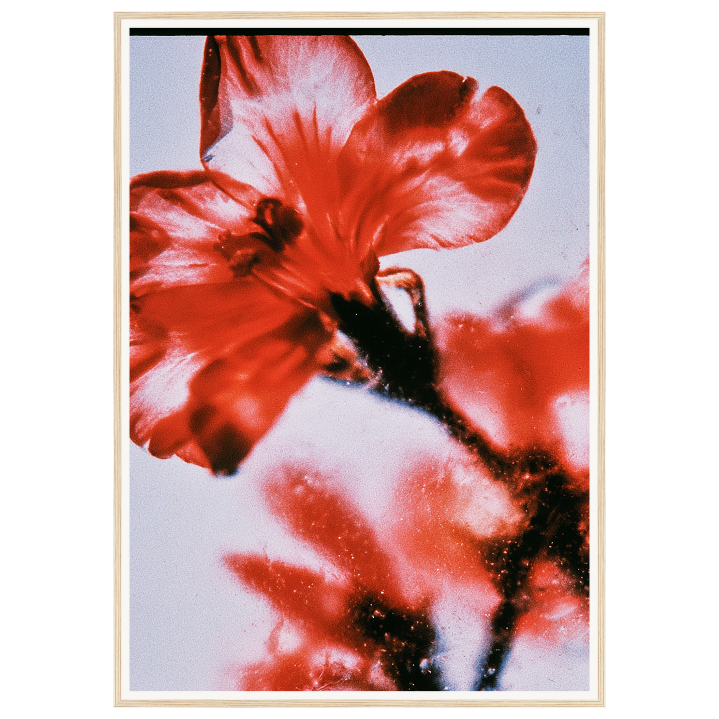 Wild Fire — s3_framed_wood