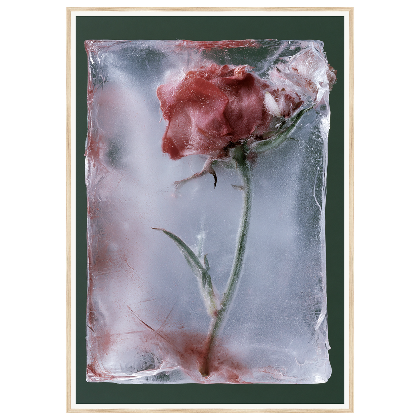 Last Bloom — s3_framed_wood