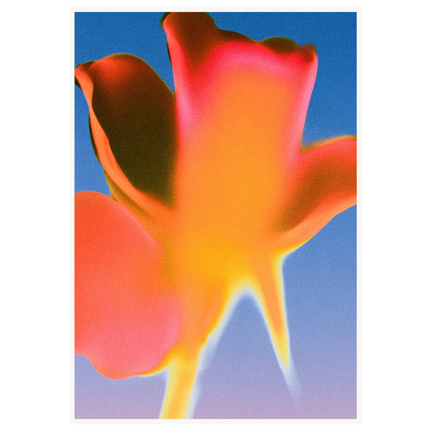 Sunset Glow — s3_poster_none
