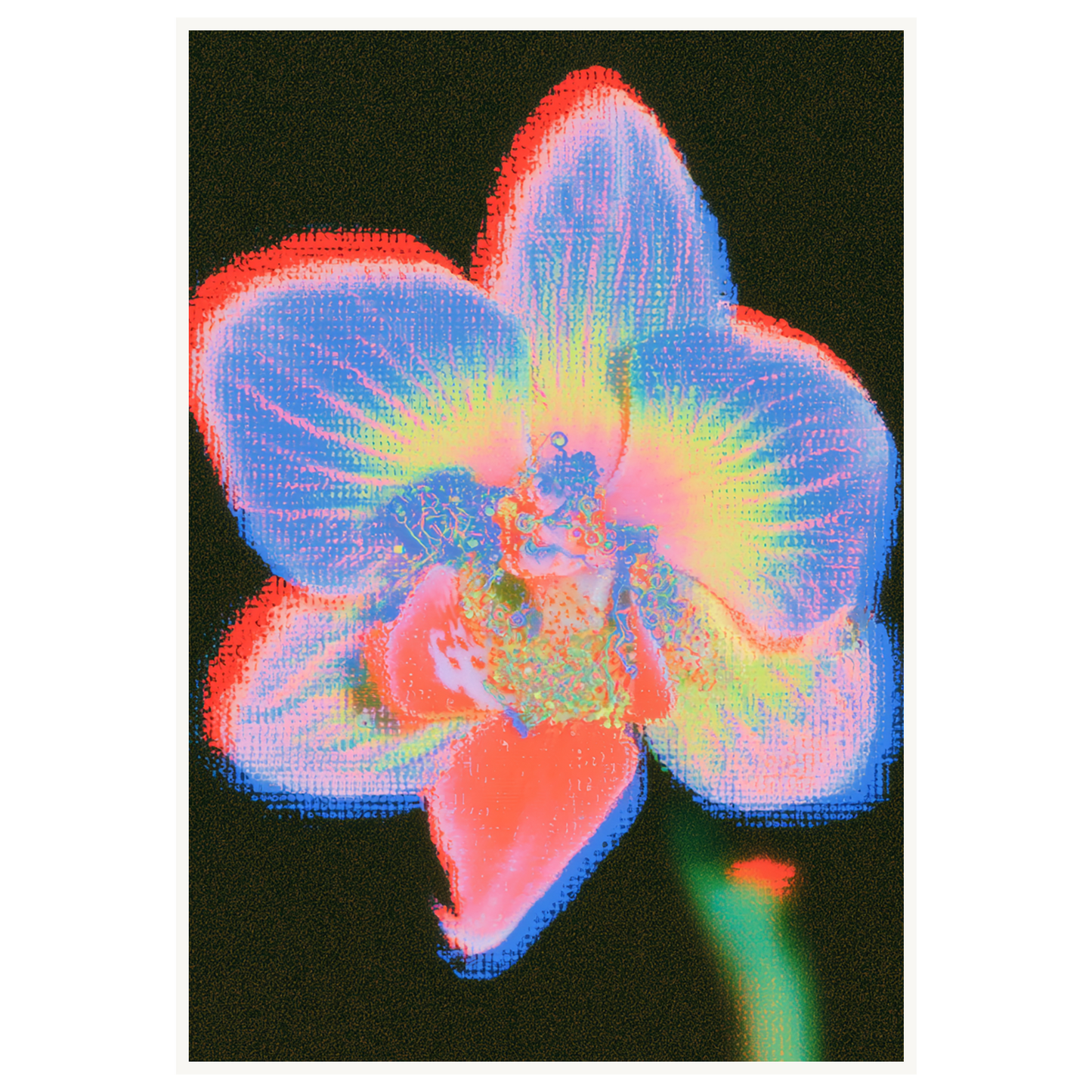 Radiant Orchid — s3_poster_none