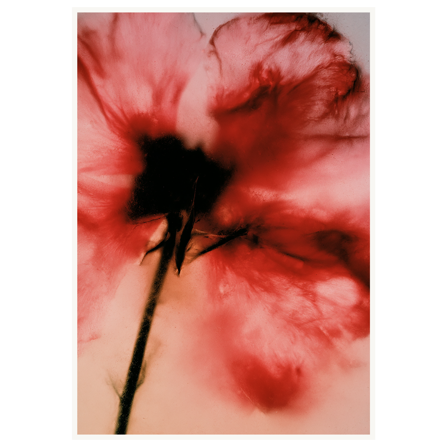 Crimson Whisper — s3_poster_none