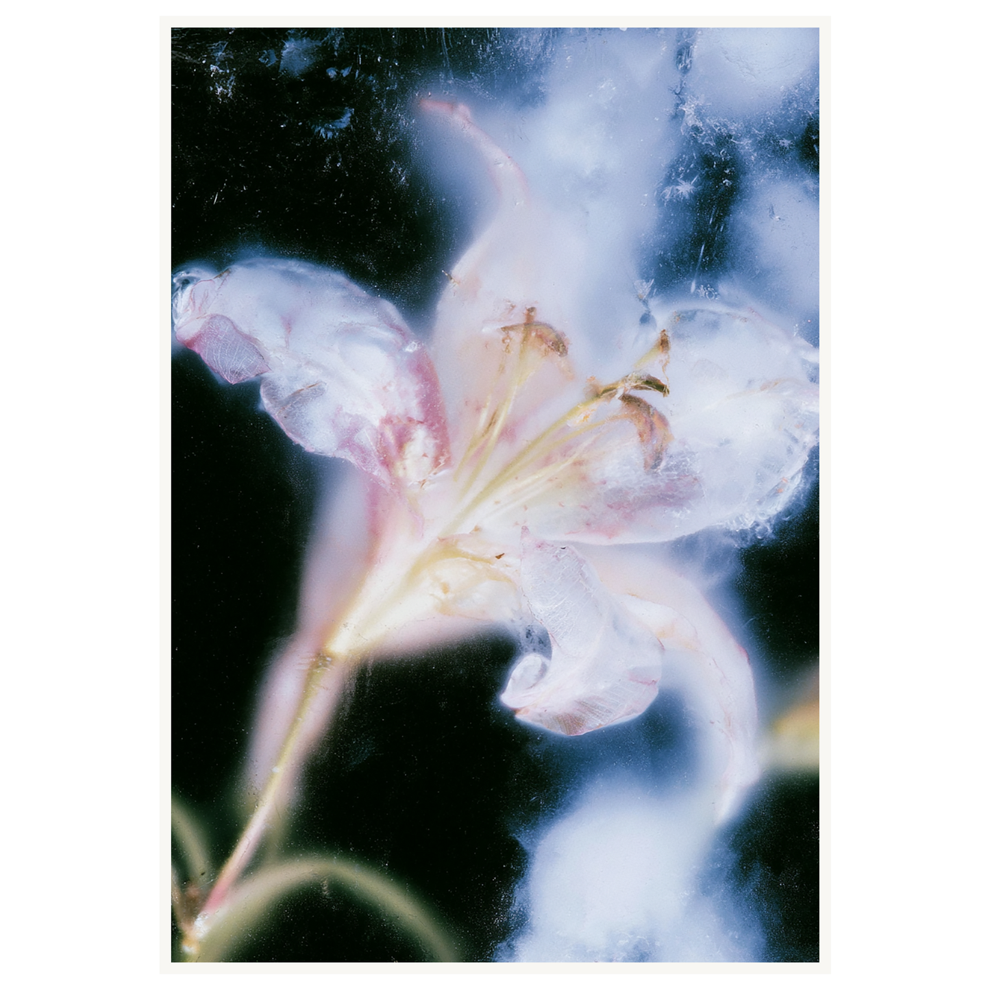 Soft Light — s3_poster_none