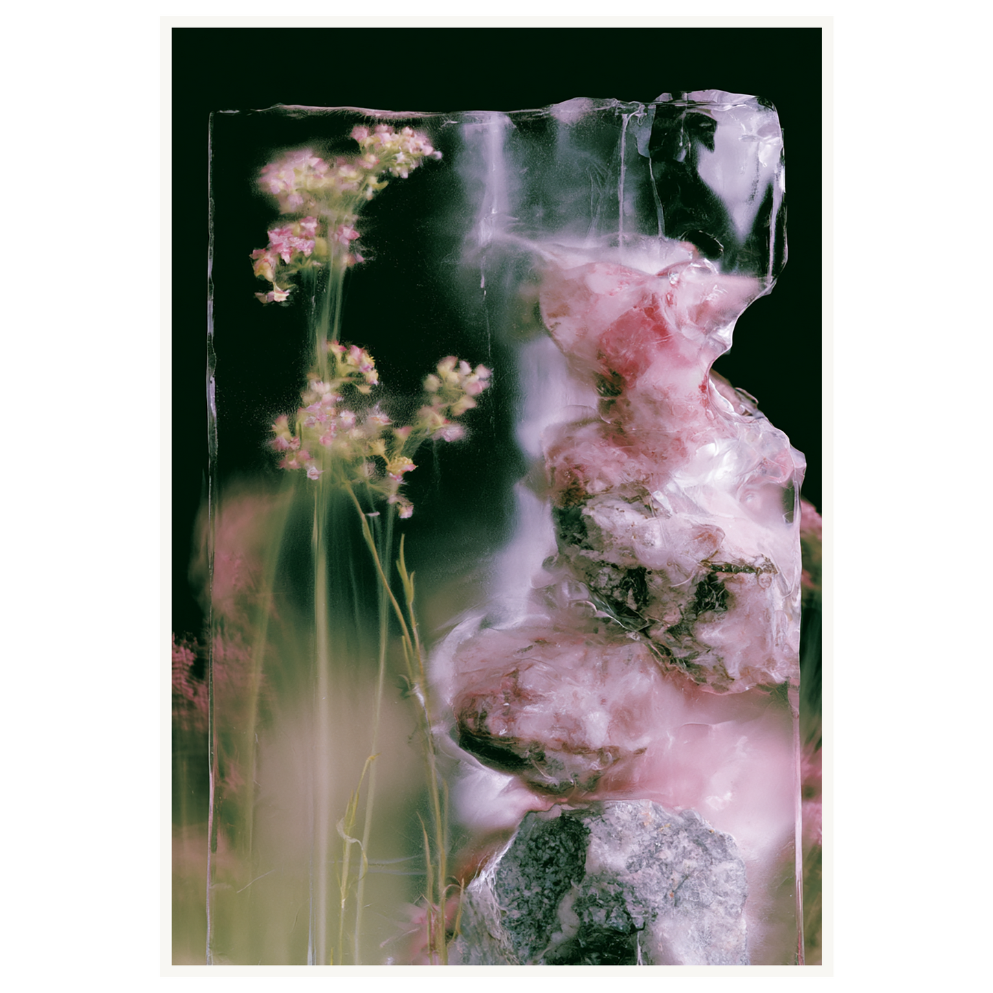 Frozen Whisper — s3_poster_none