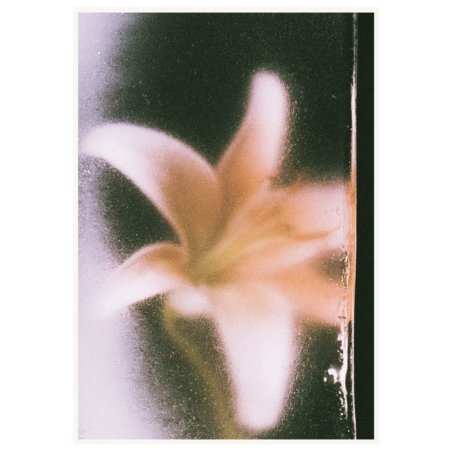Golden Hour — s3_poster_none