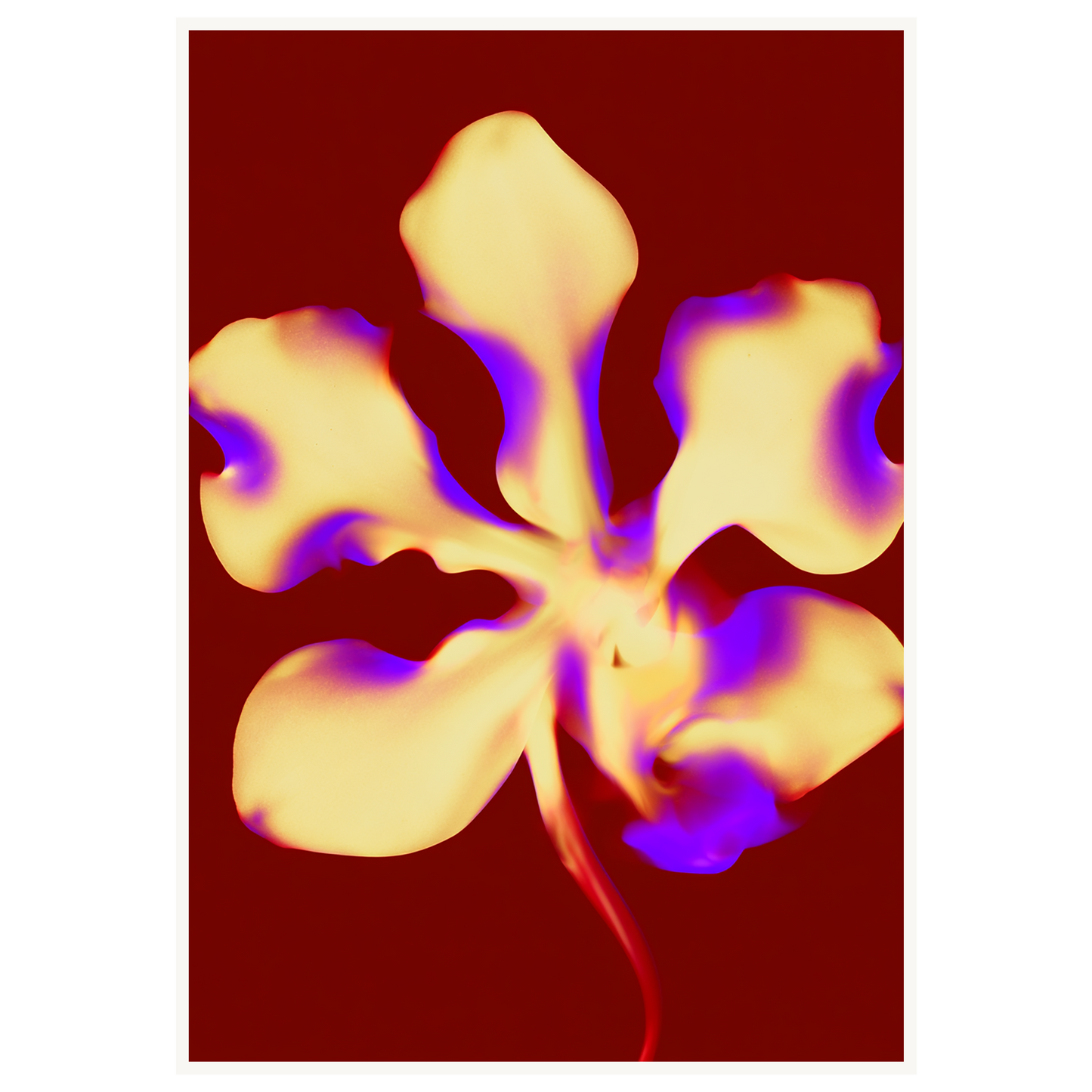 Golden Petal — s3_poster_none
