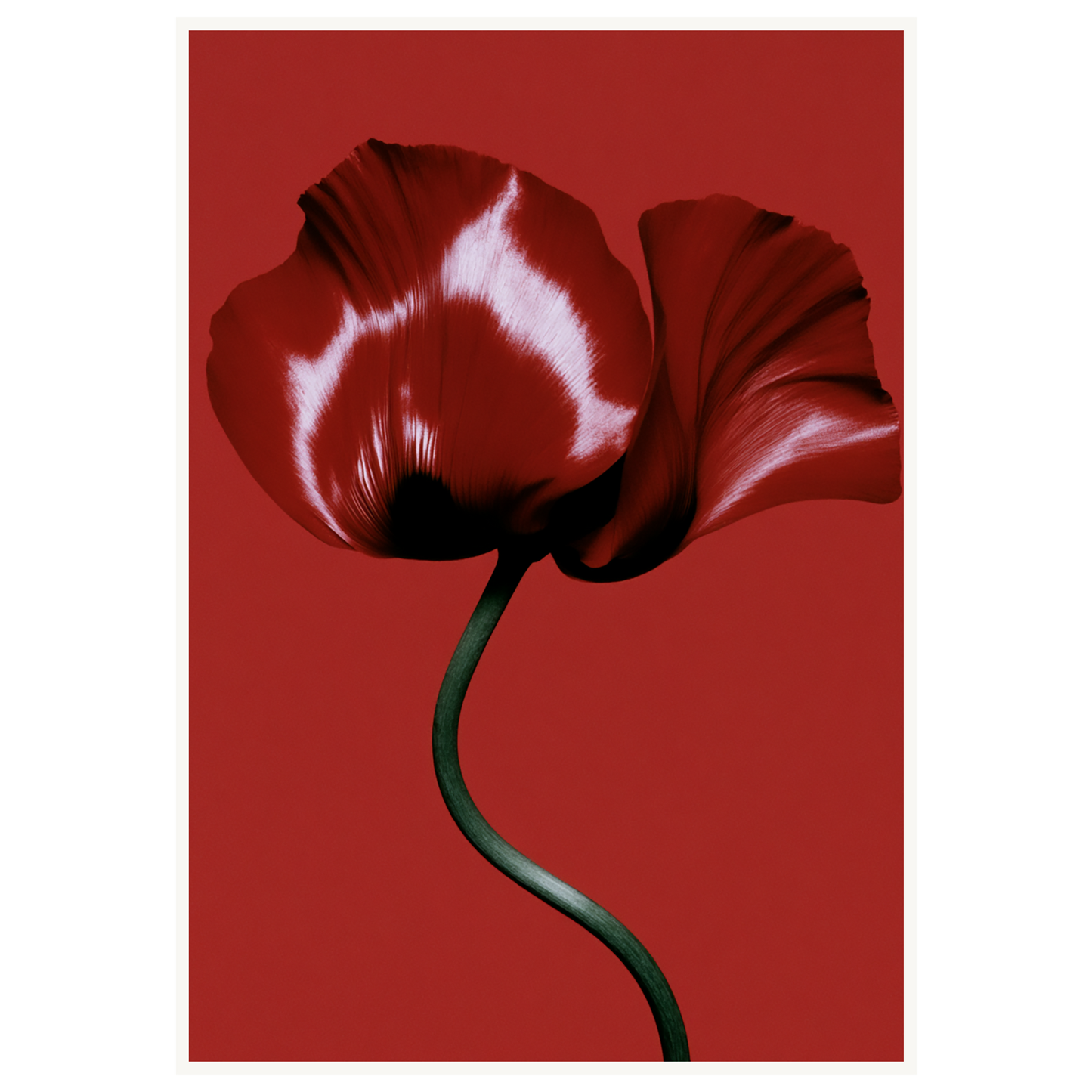 Velvet Poppy — s3_poster_none