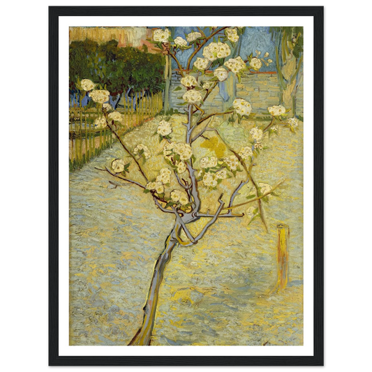 Small pear tree in blossom (1888) Art Print | Vincent van Gogh - Framed Poster - 30x40 cm / 12x16″ - Black frame