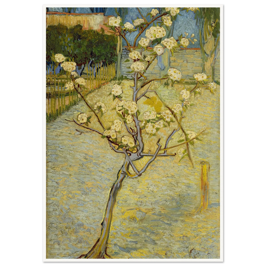 Small pear tree in blossom (1888) Art Print | Vincent van Gogh - Framed Poster - 30x40 cm / 12x16″ - Black frame