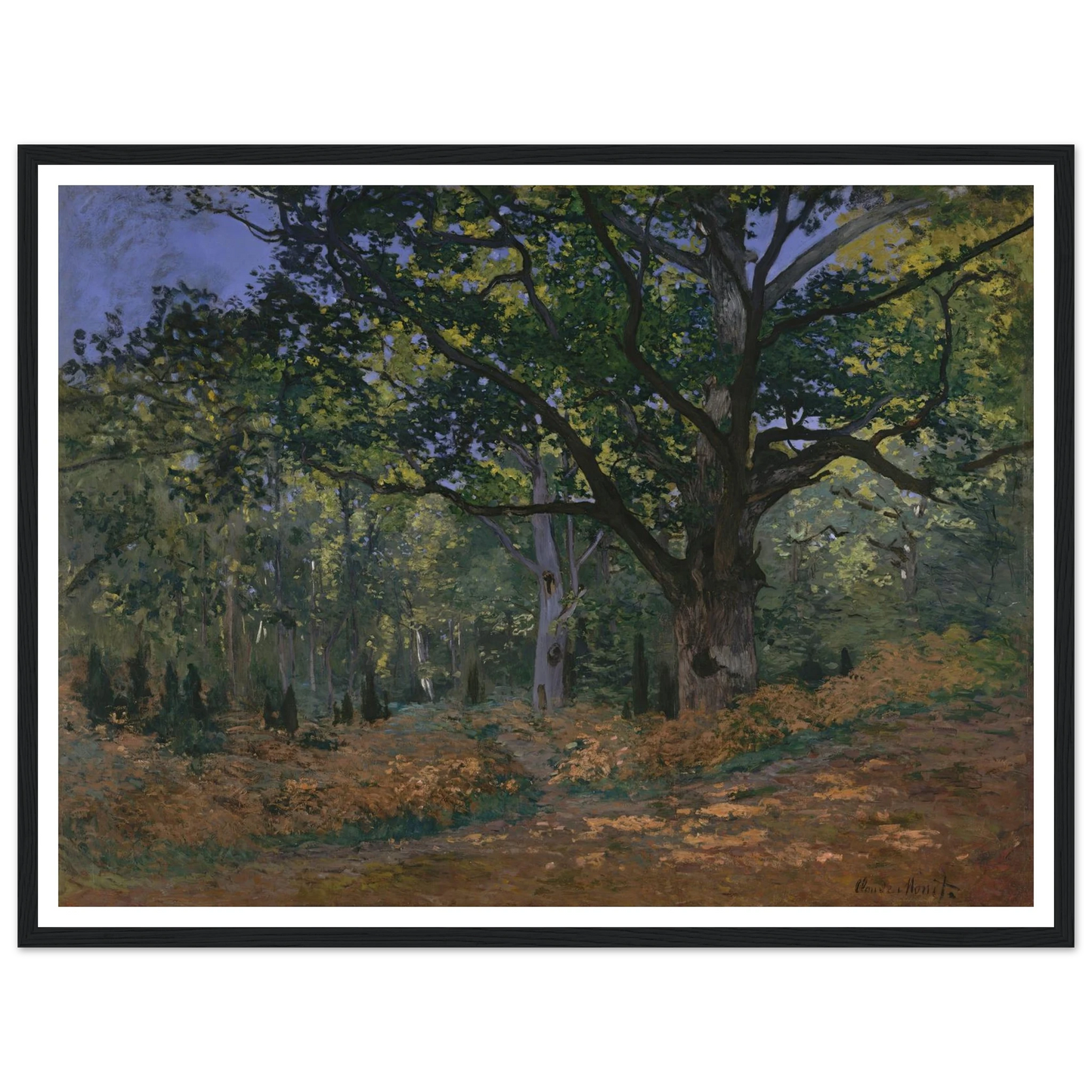 The Bodmer Oak, Fontainebleau Forest (1865) Art Print | Claude Monet - Framed Poster - 30x40 cm / 12x16″ - Black frame