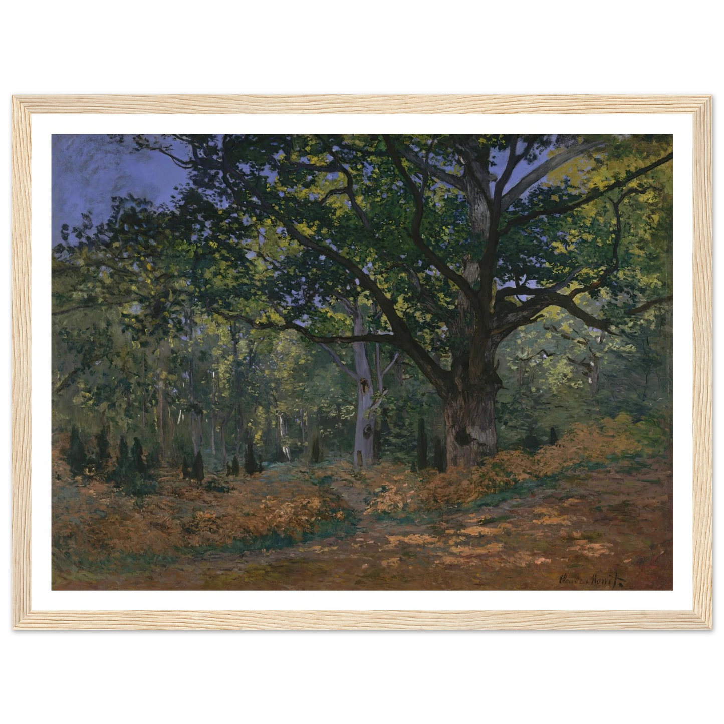 The Bodmer Oak, Fontainebleau Forest (1865) Art Print | Claude Monet - Framed Poster - 30x40 cm / 12x16″ - Black frame