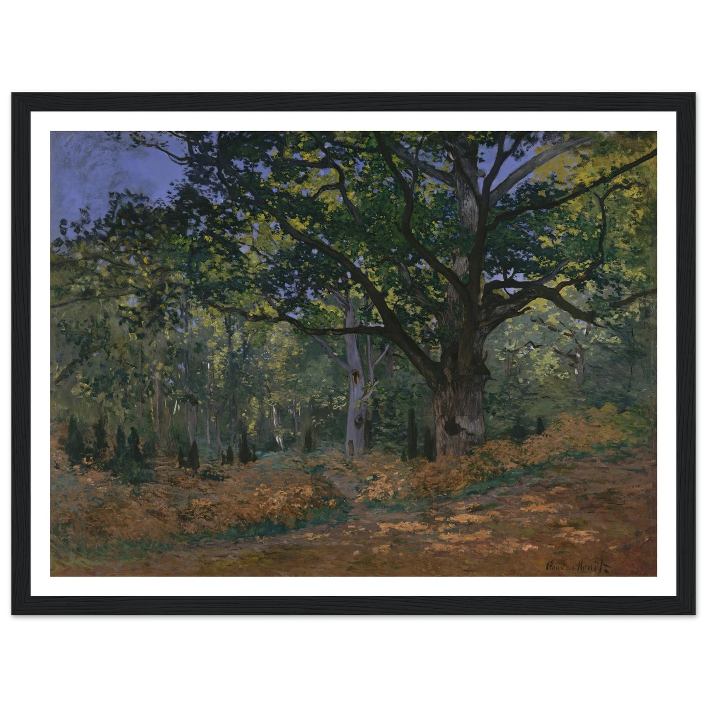 The Bodmer Oak, Fontainebleau Forest (1865) Art Print | Claude Monet - Framed Poster - 30x40 cm / 12x16″ - Black frame