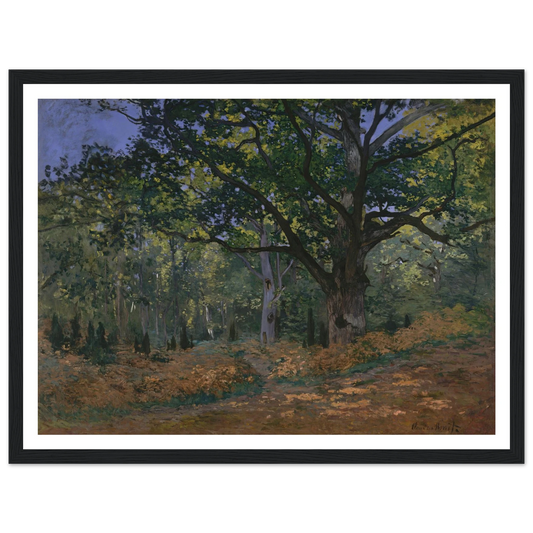 The Bodmer Oak, Fontainebleau Forest (1865) Art Print | Claude Monet - Framed Poster - 30x40 cm / 12x16″ - Black frame