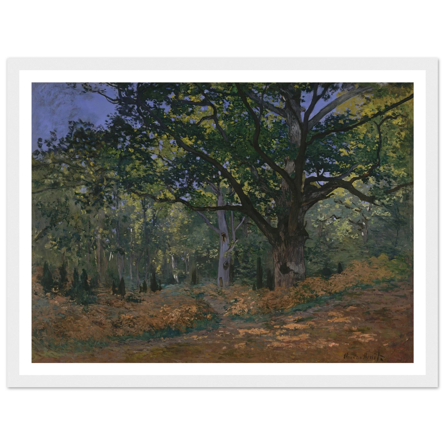 The Bodmer Oak, Fontainebleau Forest (1865) Art Print | Claude Monet - Framed Poster - 30x40 cm / 12x16″ - Black frame
