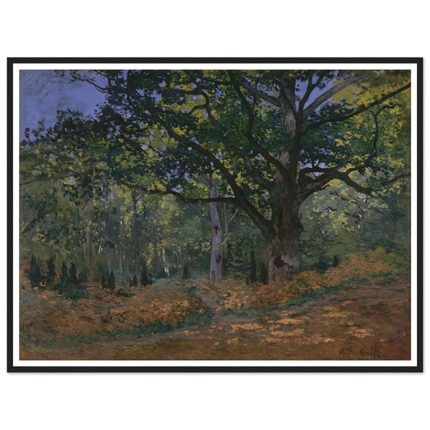 The Bodmer Oak, Fontainebleau Forest (1865) Art Print | Claude Monet - Framed Poster - 30x40 cm / 12x16″ - Black frame