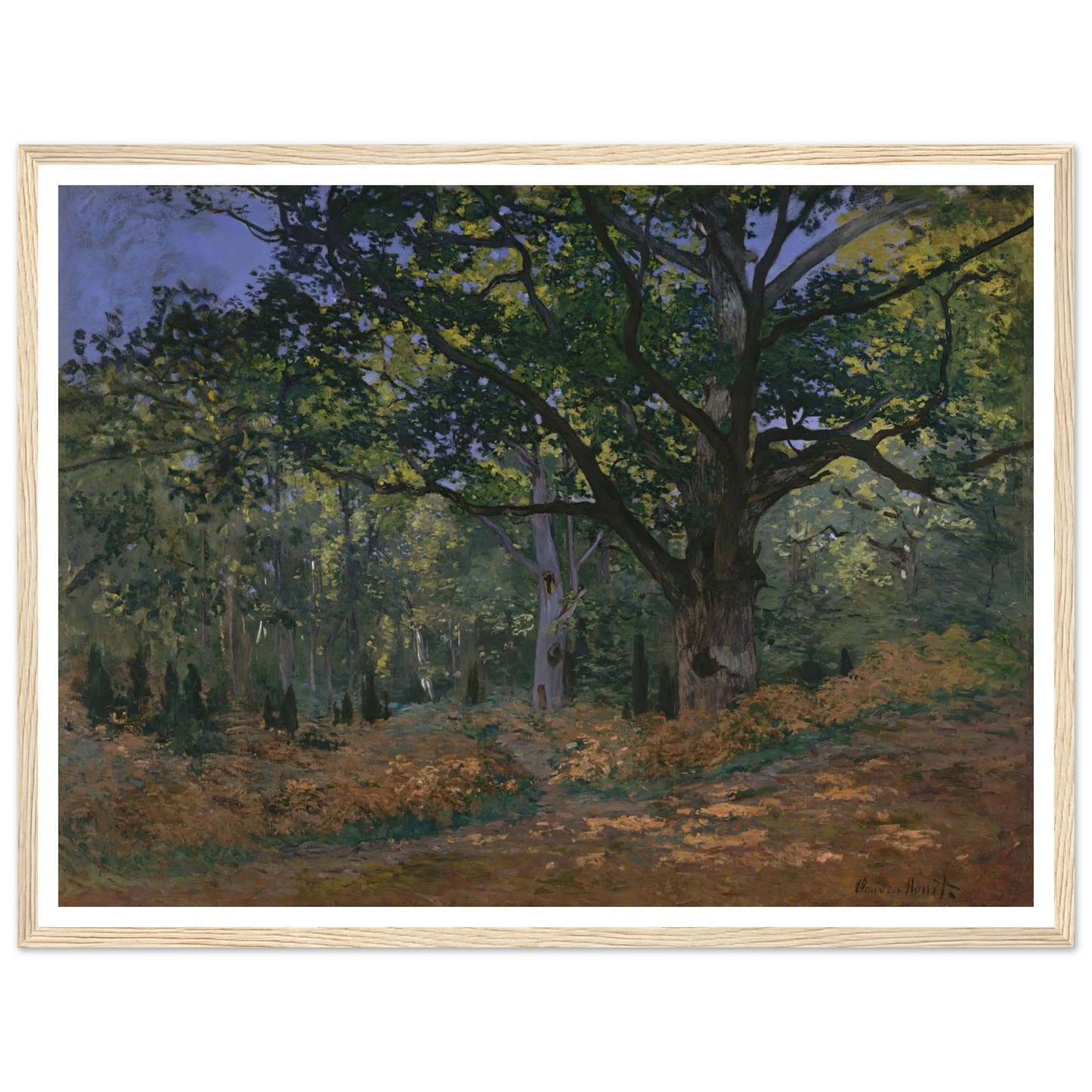 The Bodmer Oak, Fontainebleau Forest (1865) Art Print | Claude Monet - Framed Poster - 30x40 cm / 12x16″ - Black frame
